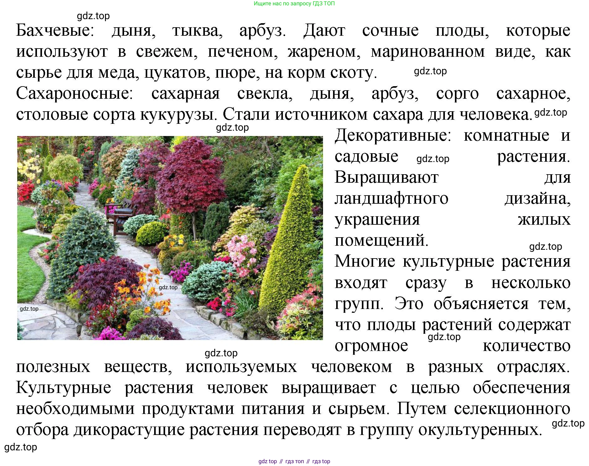 Биология, 7 класс Учебник, авторы: Пасечник Владимир Васильевич, Суматохин Сергей Витальевич, Гапонюк Зоя Георгиевна, Швецов Глеб Геннадьевич, издательство Просвещение, Москва, 2023, бирюзового цвета, страница 96, номер 2, Решение 2 (продолжение 4)
