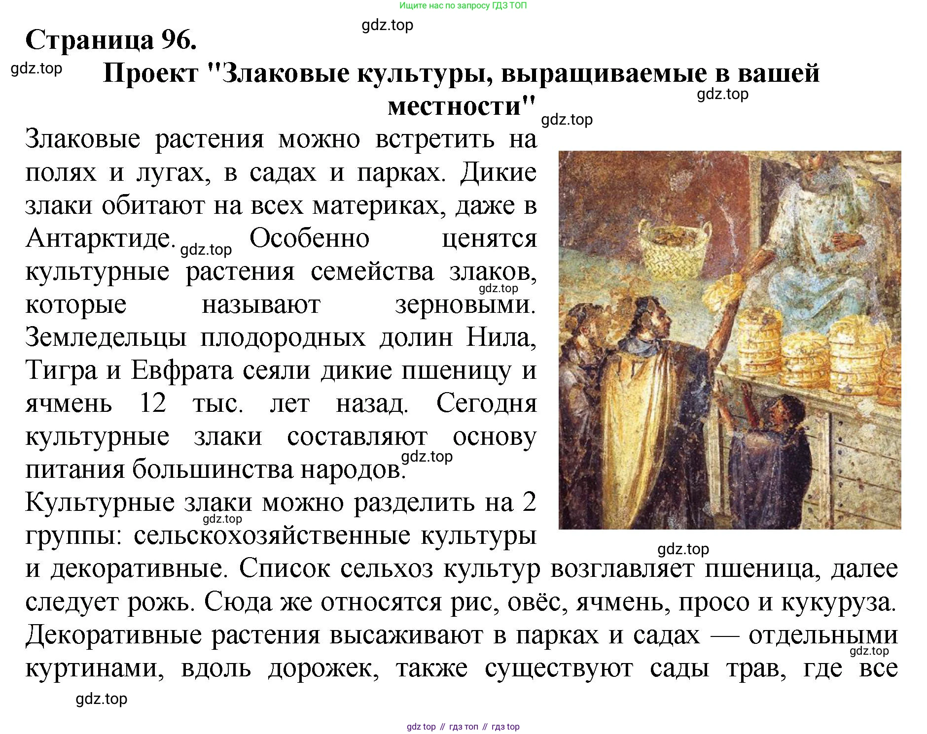 Биология, 7 класс Учебник, авторы: Пасечник Владимир Васильевич, Суматохин Сергей Витальевич, Гапонюк Зоя Георгиевна, Швецов Глеб Геннадьевич, издательство Просвещение, Москва, 2023, бирюзового цвета, страница 96, номер 3, Решение 2