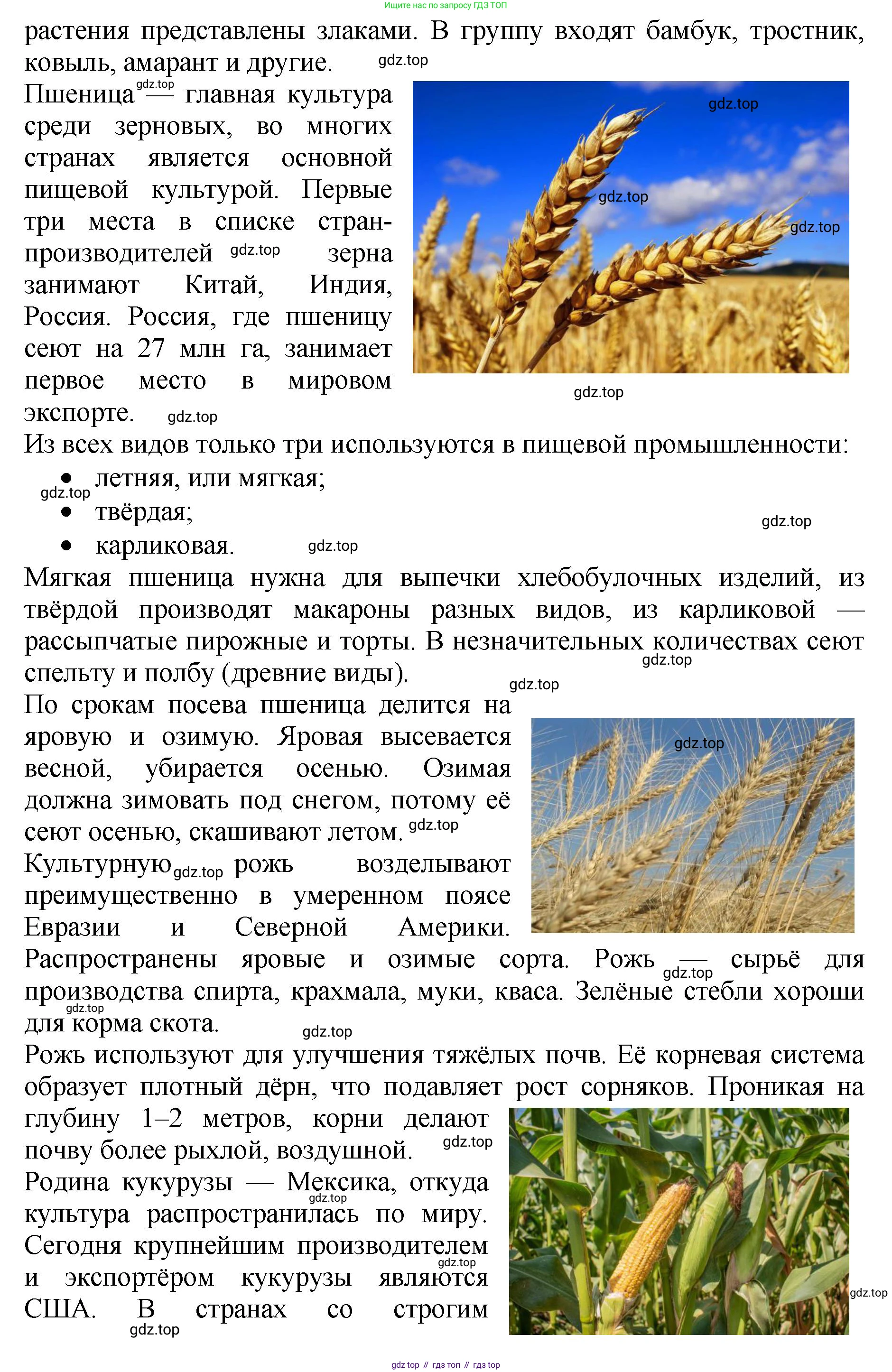 Биология, 7 класс Учебник, авторы: Пасечник Владимир Васильевич, Суматохин Сергей Витальевич, Гапонюк Зоя Георгиевна, Швецов Глеб Геннадьевич, издательство Просвещение, Москва, 2023, бирюзового цвета, страница 96, номер 3, Решение 2 (продолжение 2)