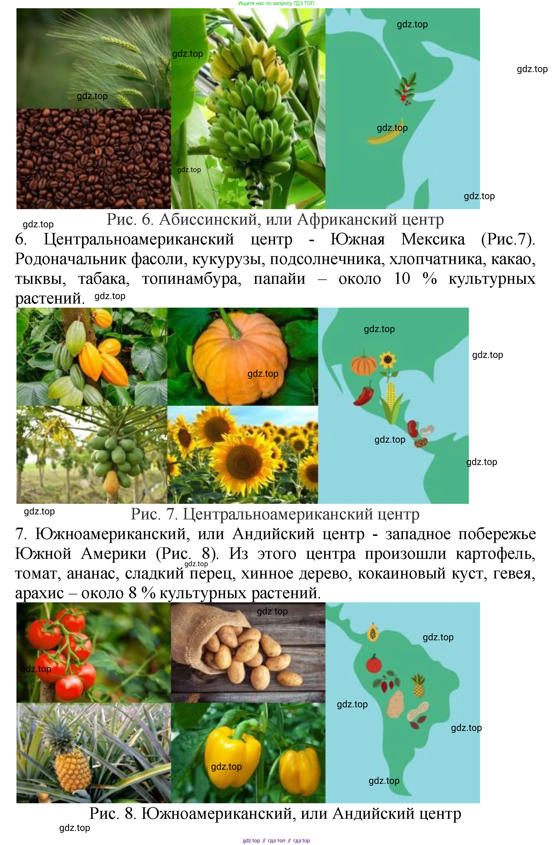 ГДЗ Биология, 7 класс Учебник, авторы: Пасечник Владимир Васильевич, Суматохин Сергей Витальевич, Гапонюк Зоя Георгиевна, Швецов Глеб Геннадьевич, издательство Просвещение, Москва, 2023, бирюзового цвета, страница 96, номер 4, Решение 2 (продолжение 4)