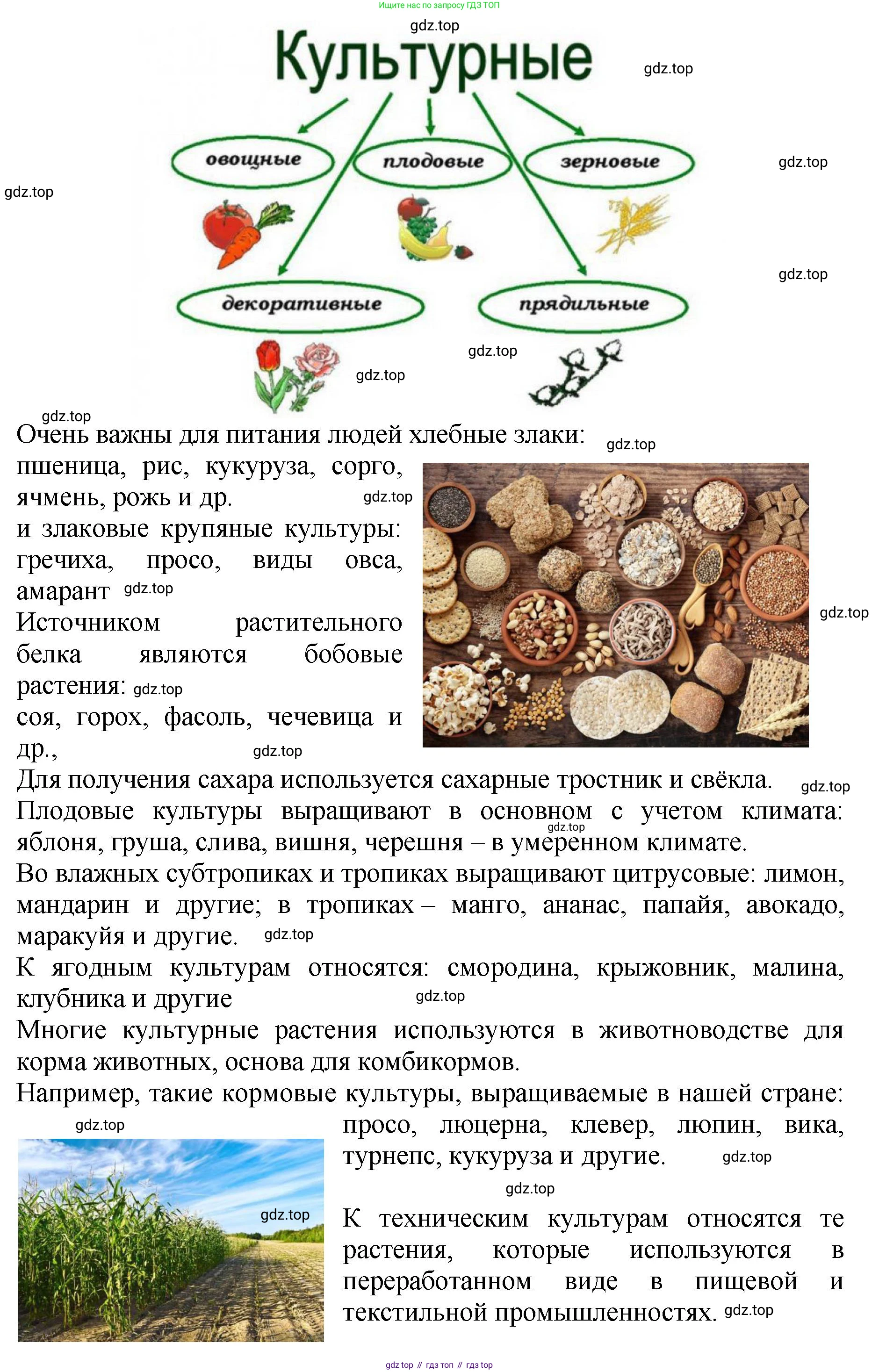 Биология, 7 класс Учебник, авторы: Пасечник Владимир Васильевич, Суматохин Сергей Витальевич, Гапонюк Зоя Георгиевна, Швецов Глеб Геннадьевич, издательство Просвещение, Москва, 2023, бирюзового цвета, страница 96, номер 6, Решение 2 (продолжение 3)