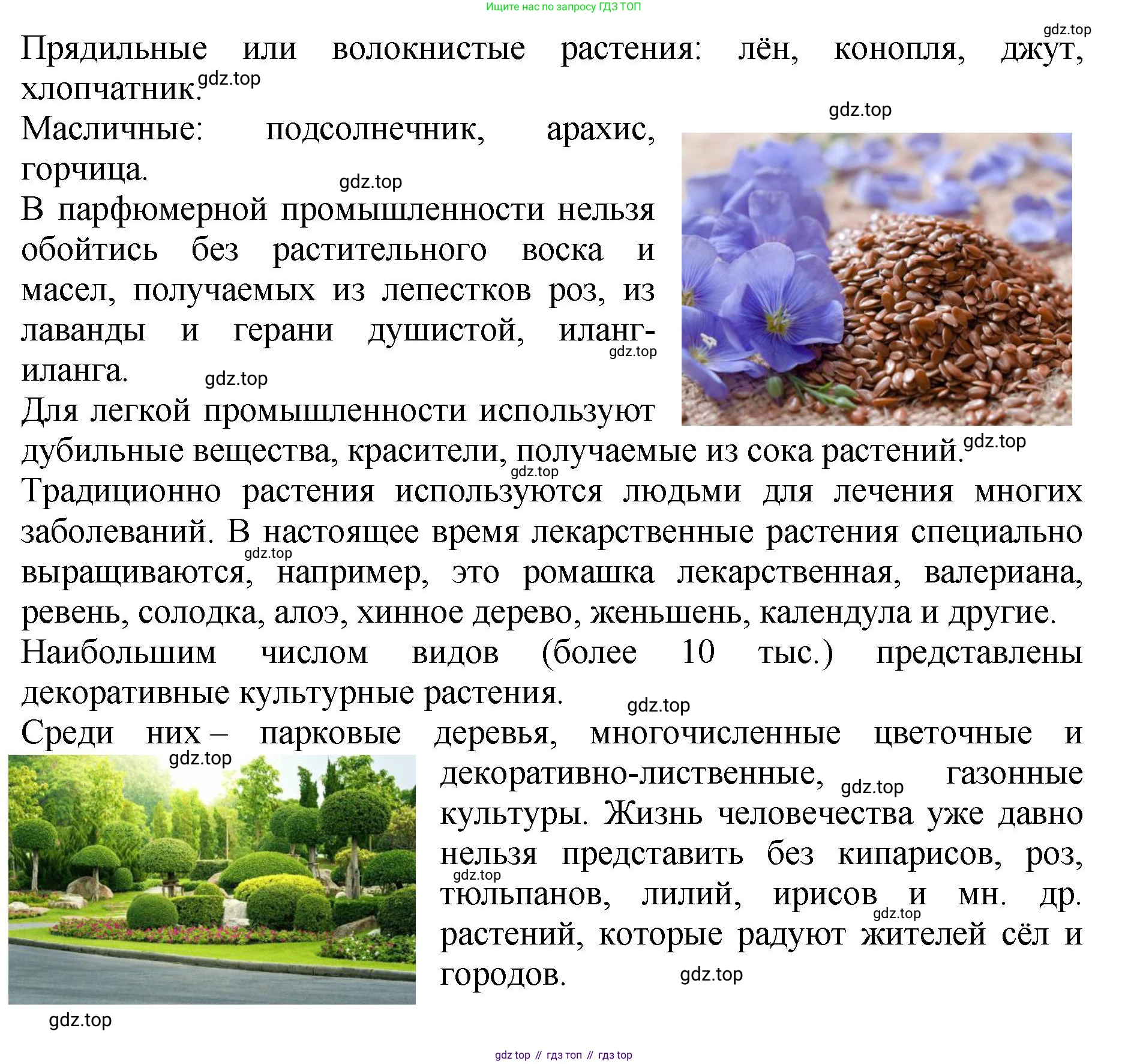 Биология, 7 класс Учебник, авторы: Пасечник Владимир Васильевич, Суматохин Сергей Витальевич, Гапонюк Зоя Георгиевна, Швецов Глеб Геннадьевич, издательство Просвещение, Москва, 2023, бирюзового цвета, страница 96, номер 6, Решение 2 (продолжение 4)