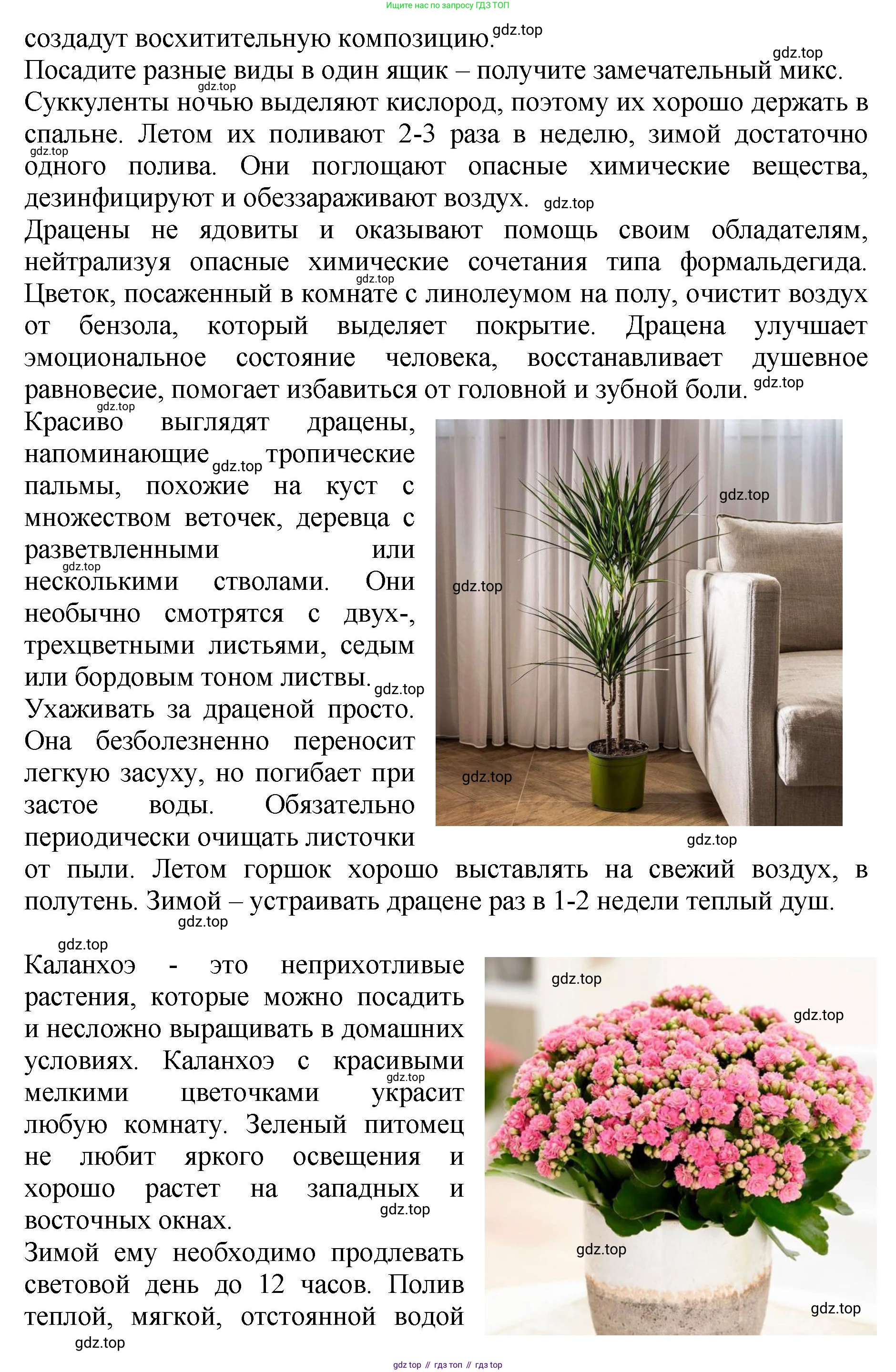 ГДЗ Биология, 7 класс Учебник, авторы: Пасечник Владимир Васильевич, Суматохин Сергей Витальевич, Гапонюк Зоя Георгиевна, Швецов Глеб Геннадьевич, издательство Просвещение, Москва, 2023, бирюзового цвета, страница 96, номер 7, Решение 2 (продолжение 3)