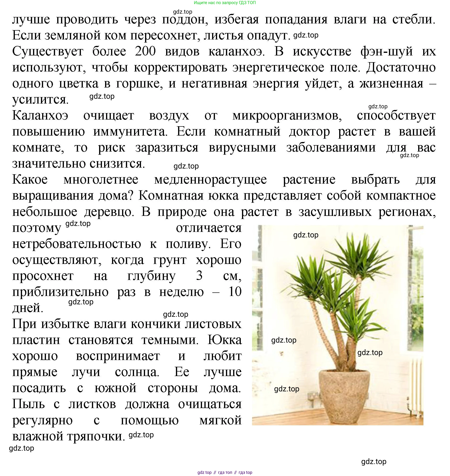 ГДЗ Биология, 7 класс Учебник, авторы: Пасечник Владимир Васильевич, Суматохин Сергей Витальевич, Гапонюк Зоя Георгиевна, Швецов Глеб Геннадьевич, издательство Просвещение, Москва, 2023, бирюзового цвета, страница 96, номер 7, Решение 2 (продолжение 4)
