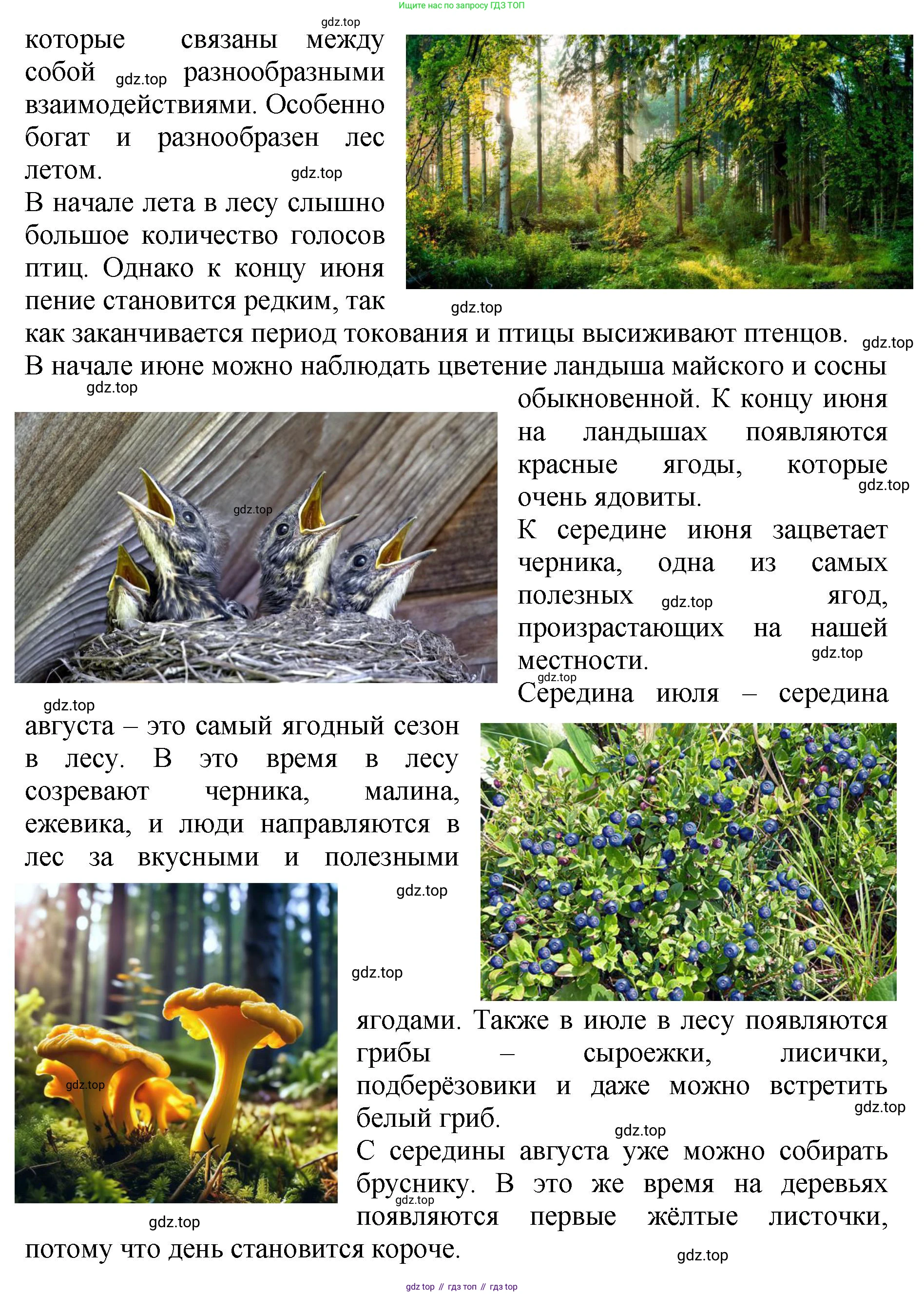ГДЗ Биология, 7 класс Учебник, авторы: Пасечник Владимир Васильевич, Суматохин Сергей Витальевич, Гапонюк Зоя Георгиевна, Швецов Глеб Геннадьевич, издательство Просвещение, Москва, 2023, бирюзового цвета, страница 118, Решение 2 (продолжение 2)