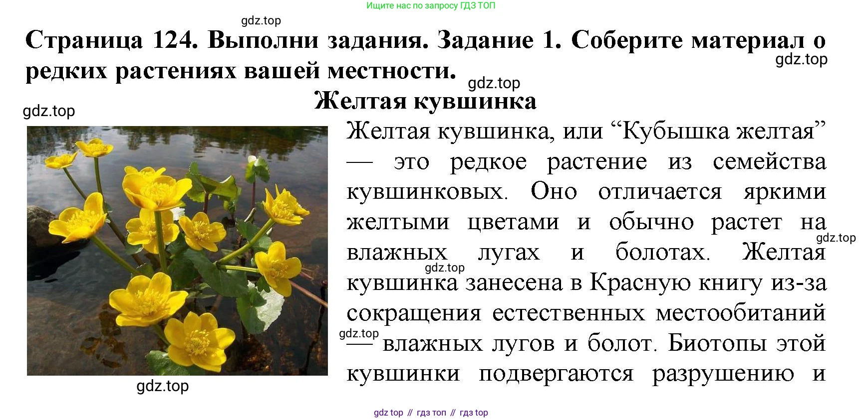 Биология, 7 класс Учебник, авторы: Пасечник Владимир Васильевич, Суматохин Сергей Витальевич, Гапонюк Зоя Георгиевна, Швецов Глеб Геннадьевич, издательство Просвещение, Москва, 2023, бирюзового цвета, страница 124, Решение 2