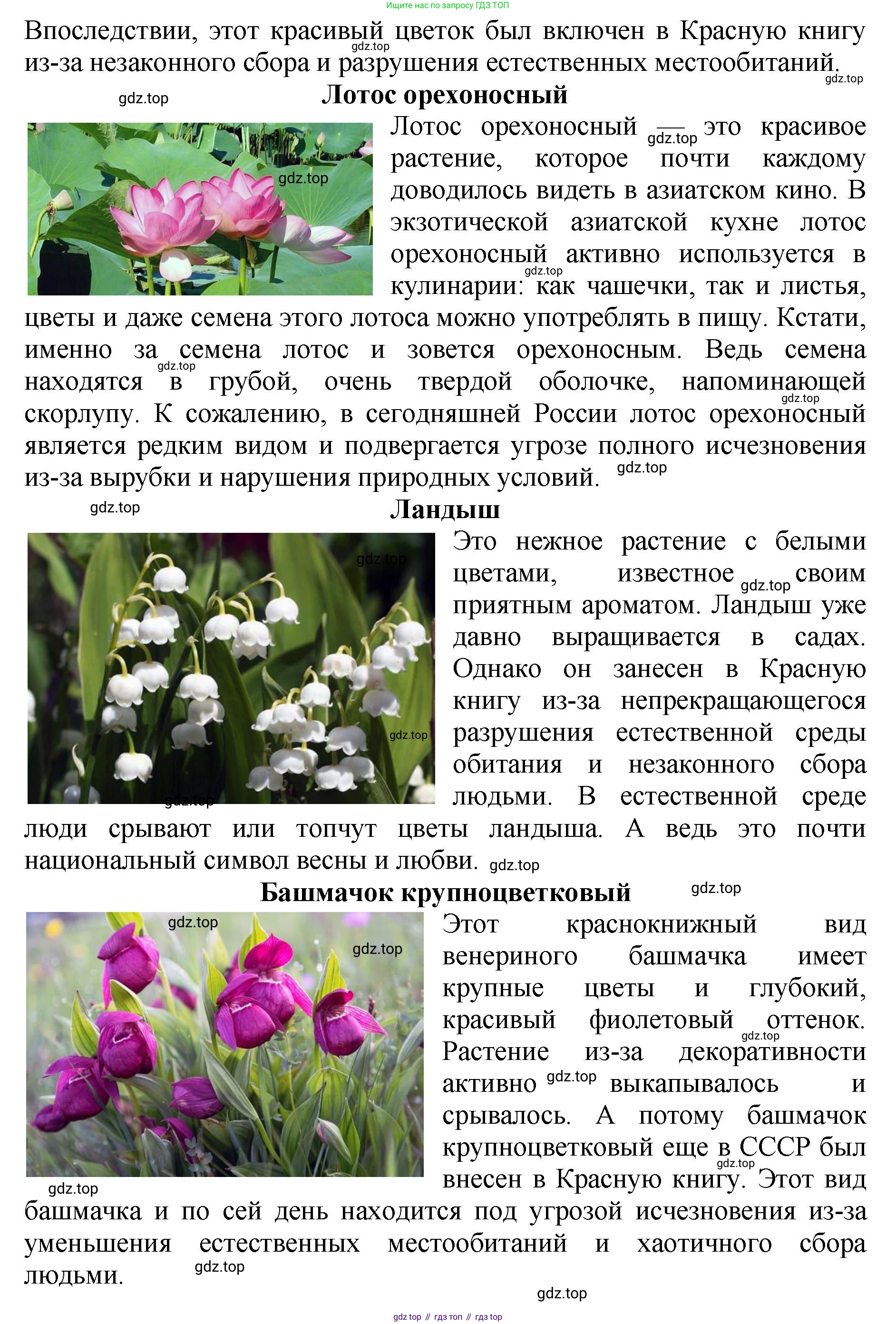 Биология, 7 класс Учебник, авторы: Пасечник Владимир Васильевич, Суматохин Сергей Витальевич, Гапонюк Зоя Георгиевна, Швецов Глеб Геннадьевич, издательство Просвещение, Москва, 2023, бирюзового цвета, страница 124, Решение 2 (продолжение 3)