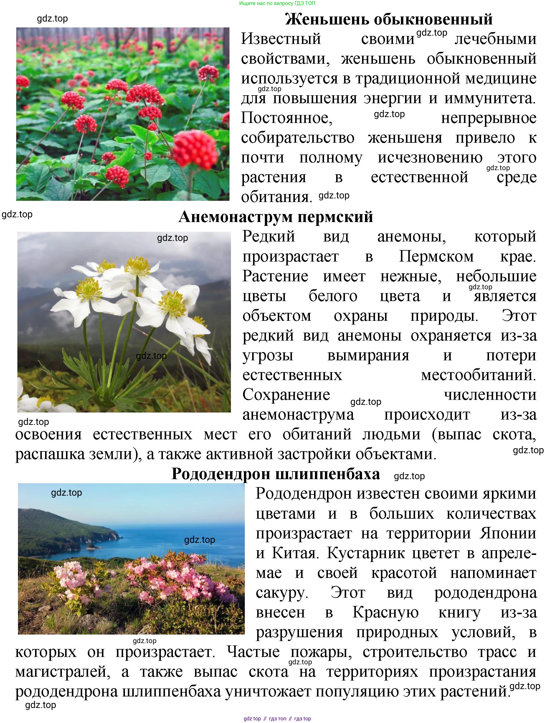 Биология, 7 класс Учебник, авторы: Пасечник Владимир Васильевич, Суматохин Сергей Витальевич, Гапонюк Зоя Георгиевна, Швецов Глеб Геннадьевич, издательство Просвещение, Москва, 2023, бирюзового цвета, страница 124, Решение 2 (продолжение 4)