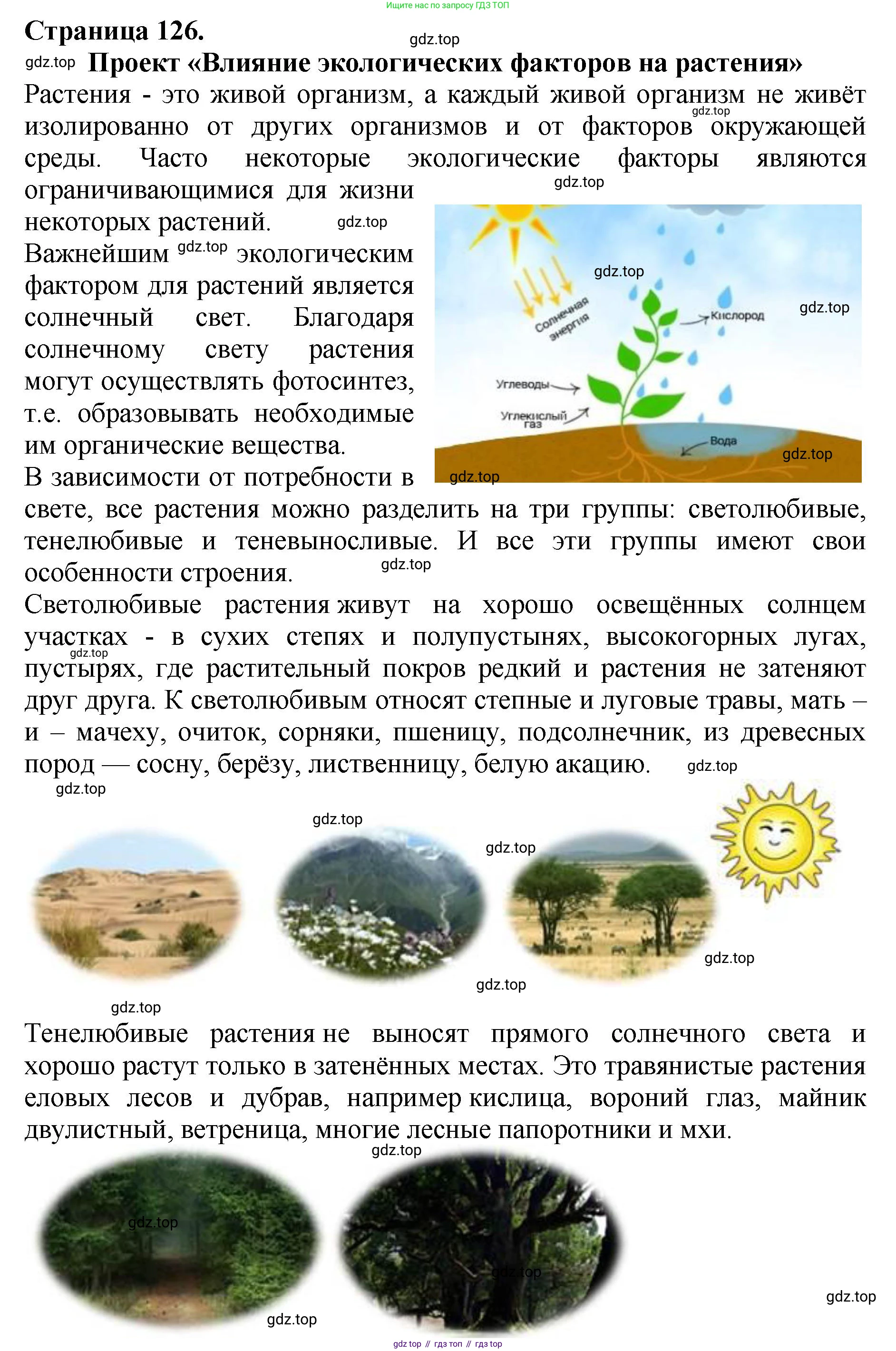 Биология, 7 класс Учебник, авторы: Пасечник Владимир Васильевич, Суматохин Сергей Витальевич, Гапонюк Зоя Георгиевна, Швецов Глеб Геннадьевич, издательство Просвещение, Москва, 2023, бирюзового цвета, страница 126, номер 1, Решение 2