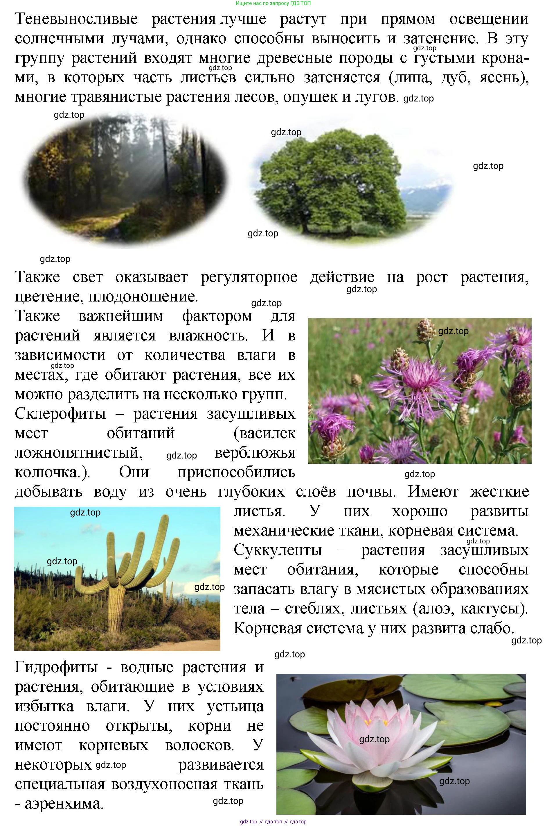 Биология, 7 класс Учебник, авторы: Пасечник Владимир Васильевич, Суматохин Сергей Витальевич, Гапонюк Зоя Георгиевна, Швецов Глеб Геннадьевич, издательство Просвещение, Москва, 2023, бирюзового цвета, страница 126, номер 1, Решение 2 (продолжение 2)