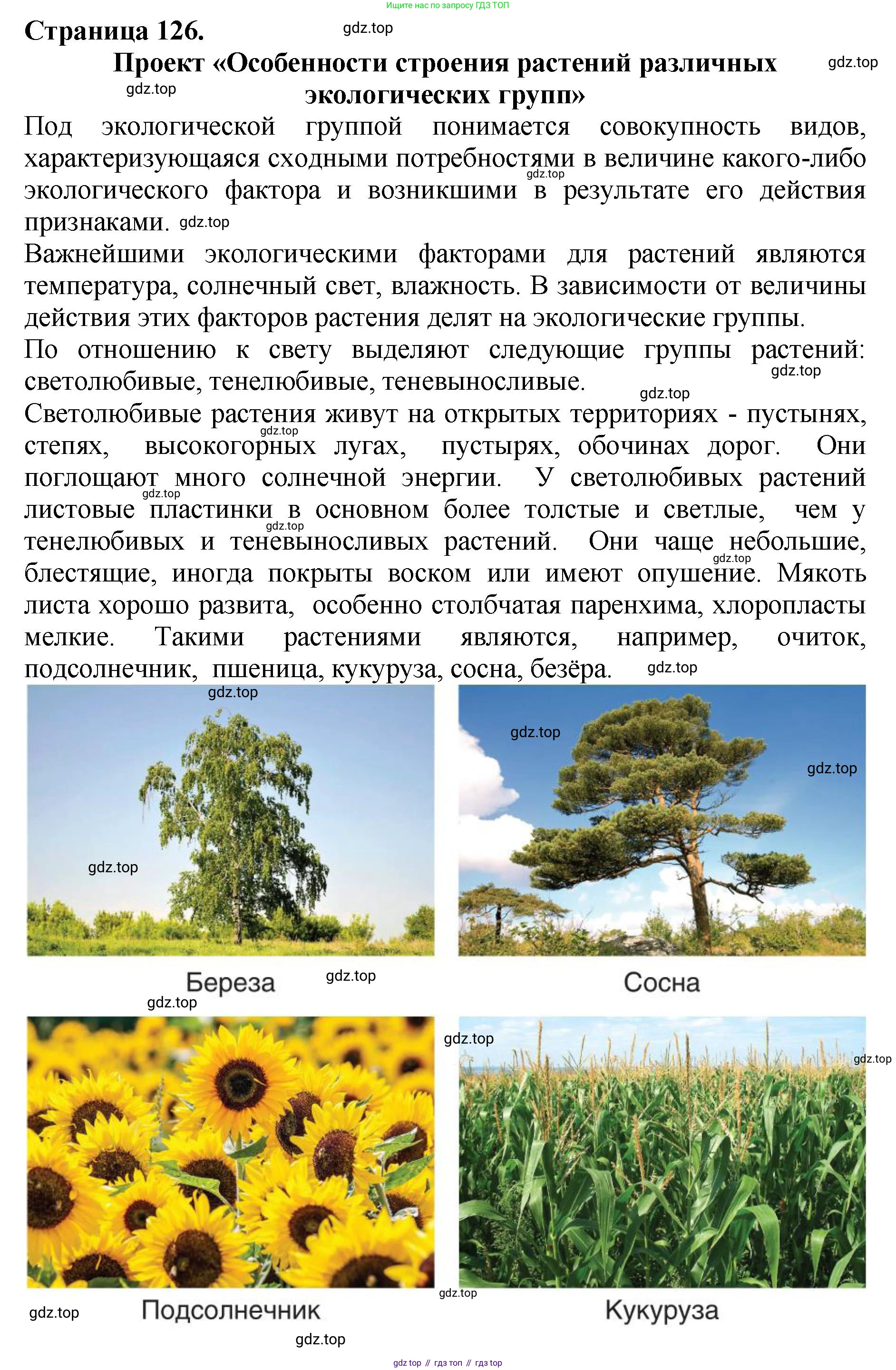 ГДЗ Биология, 7 класс Учебник, авторы: Пасечник Владимир Васильевич, Суматохин Сергей Витальевич, Гапонюк Зоя Георгиевна, Швецов Глеб Геннадьевич, издательство Просвещение, Москва, 2023, бирюзового цвета, страница 126, номер 2, Решение 2
