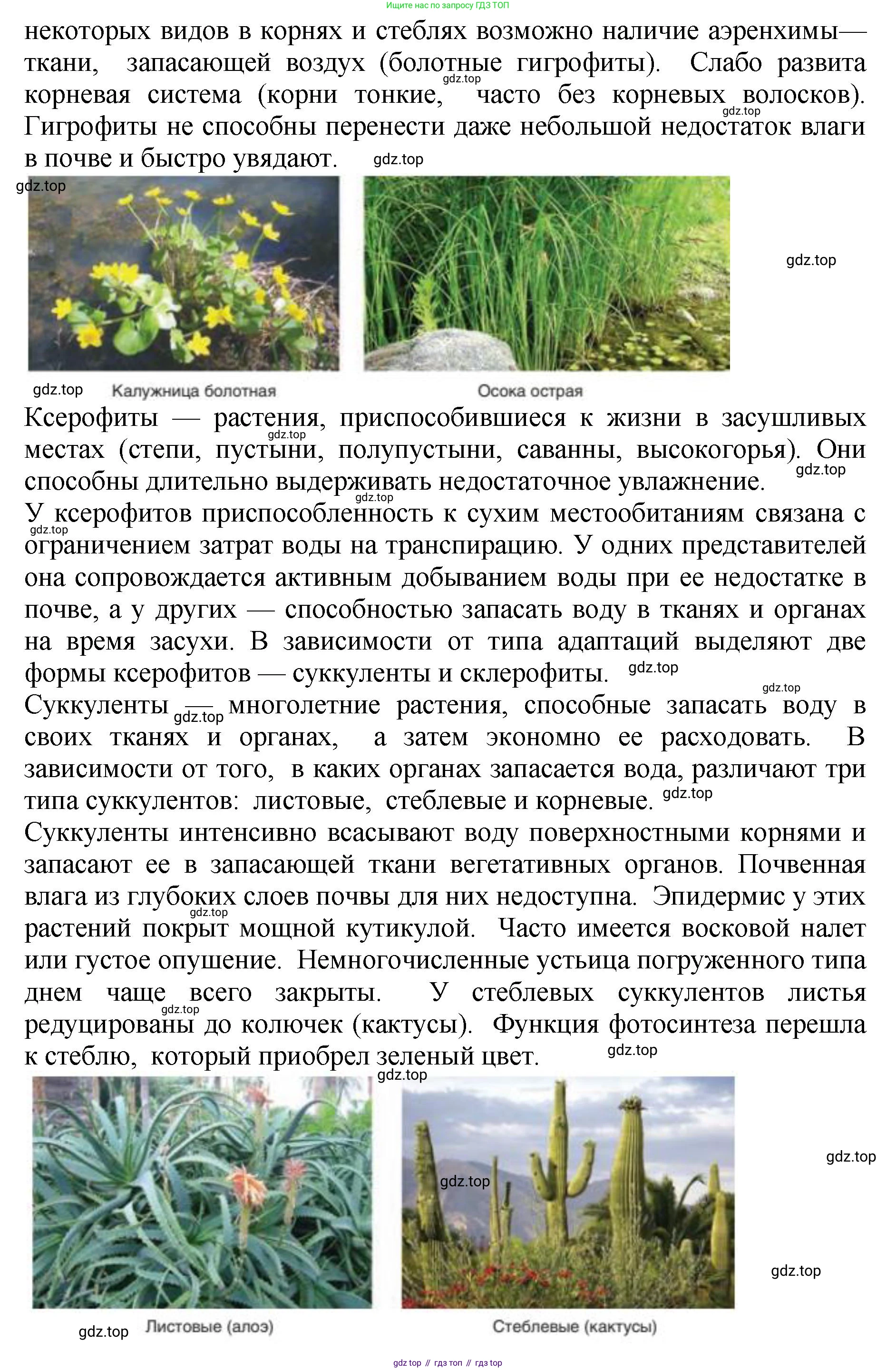 ГДЗ Биология, 7 класс Учебник, авторы: Пасечник Владимир Васильевич, Суматохин Сергей Витальевич, Гапонюк Зоя Георгиевна, Швецов Глеб Геннадьевич, издательство Просвещение, Москва, 2023, бирюзового цвета, страница 126, номер 2, Решение 2 (продолжение 4)