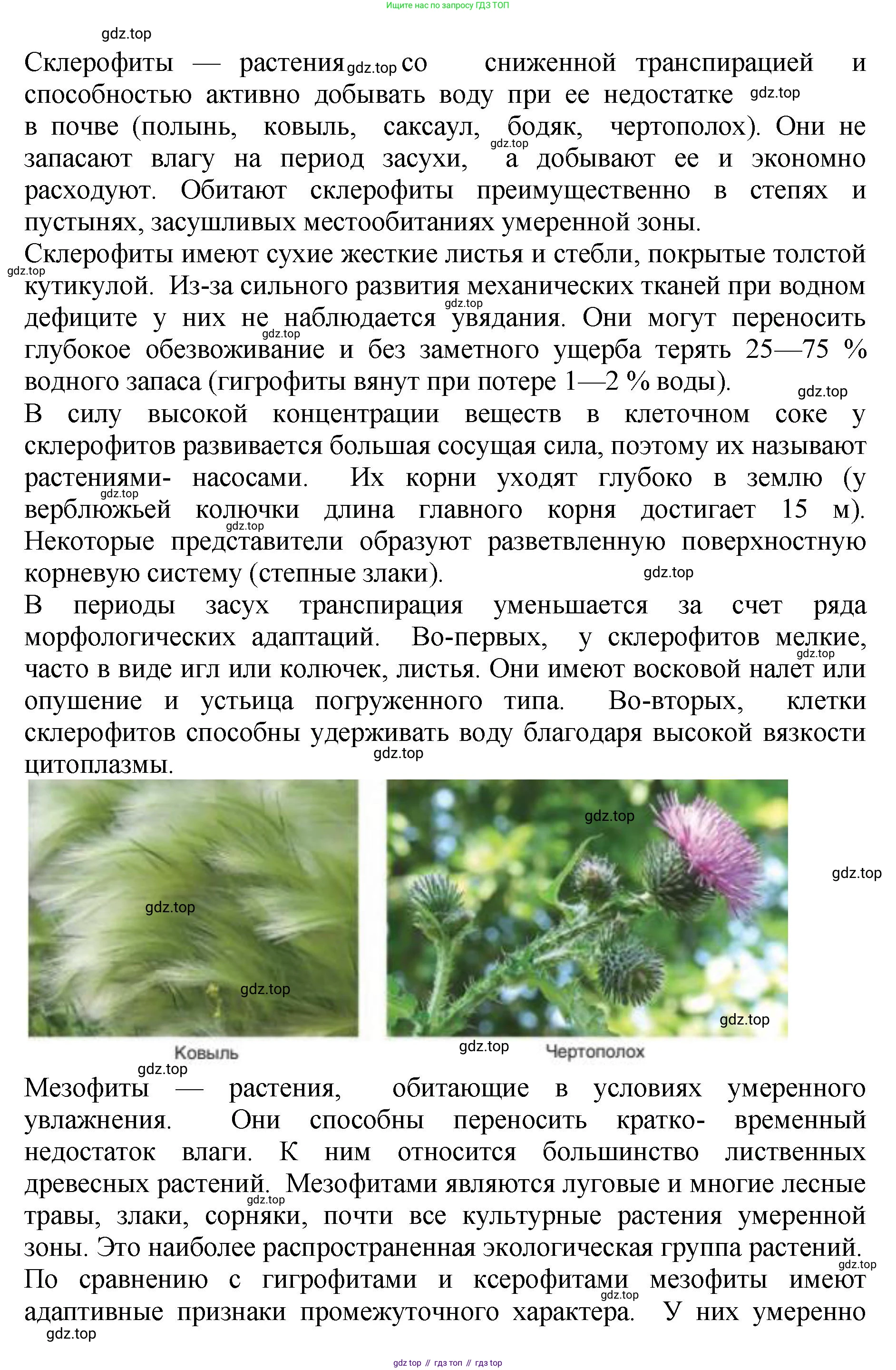 ГДЗ Биология, 7 класс Учебник, авторы: Пасечник Владимир Васильевич, Суматохин Сергей Витальевич, Гапонюк Зоя Георгиевна, Швецов Глеб Геннадьевич, издательство Просвещение, Москва, 2023, бирюзового цвета, страница 126, номер 2, Решение 2 (продолжение 5)