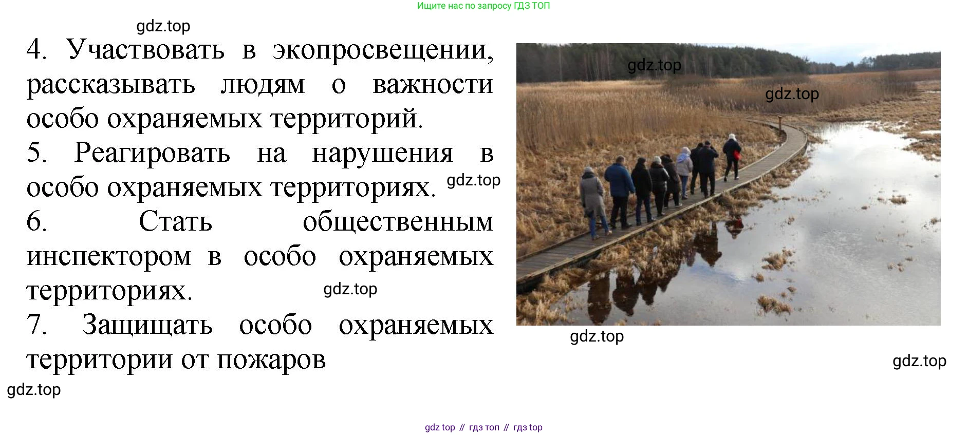 ГДЗ Биология, 7 класс Учебник, авторы: Пасечник Владимир Васильевич, Суматохин Сергей Витальевич, Гапонюк Зоя Георгиевна, Швецов Глеб Геннадьевич, издательство Просвещение, Москва, 2023, бирюзового цвета, страница 126, номер 3, Решение 2 (продолжение 3)
