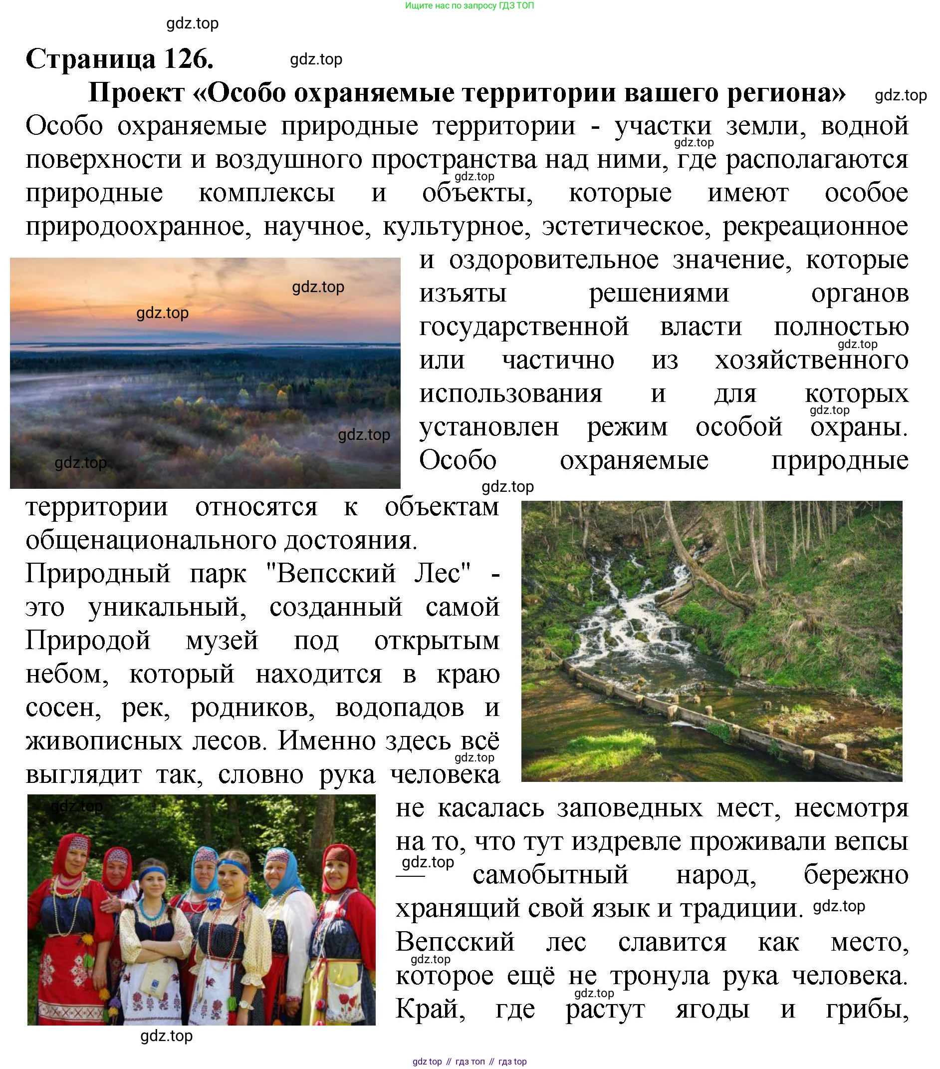 Биология, 7 класс Учебник, авторы: Пасечник Владимир Васильевич, Суматохин Сергей Витальевич, Гапонюк Зоя Георгиевна, Швецов Глеб Геннадьевич, издательство Просвещение, Москва, 2023, бирюзового цвета, страница 126, номер 4, Решение 2