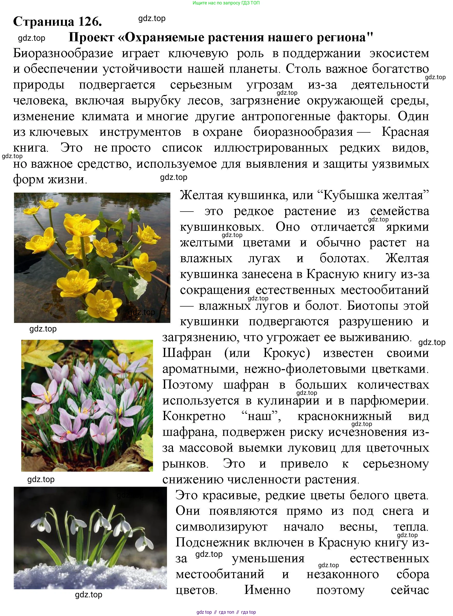 Биология, 7 класс Учебник, авторы: Пасечник Владимир Васильевич, Суматохин Сергей Витальевич, Гапонюк Зоя Георгиевна, Швецов Глеб Геннадьевич, издательство Просвещение, Москва, 2023, бирюзового цвета, страница 126, номер 5, Решение 2