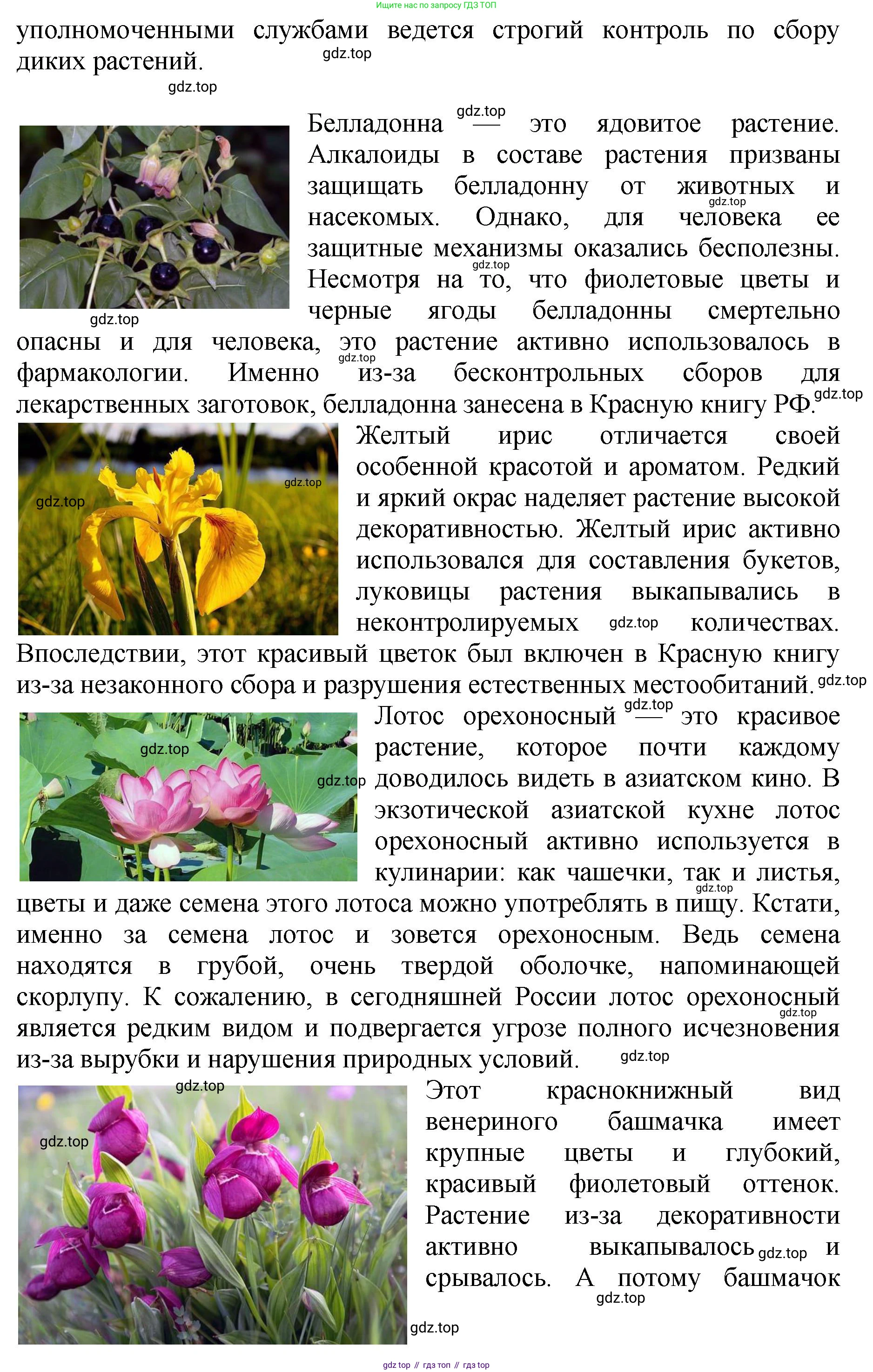 Биология, 7 класс Учебник, авторы: Пасечник Владимир Васильевич, Суматохин Сергей Витальевич, Гапонюк Зоя Георгиевна, Швецов Глеб Геннадьевич, издательство Просвещение, Москва, 2023, бирюзового цвета, страница 126, номер 5, Решение 2 (продолжение 2)