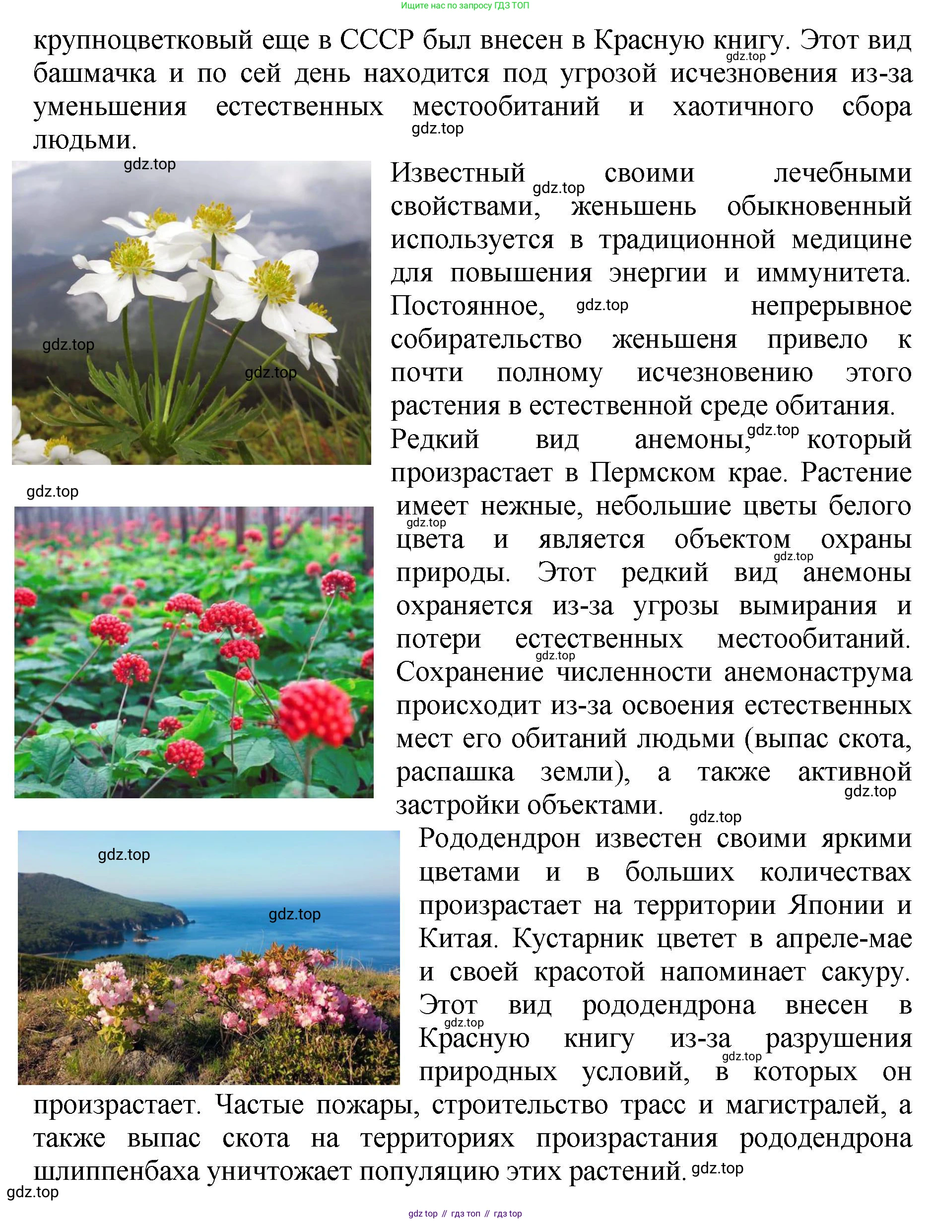 Биология, 7 класс Учебник, авторы: Пасечник Владимир Васильевич, Суматохин Сергей Витальевич, Гапонюк Зоя Георгиевна, Швецов Глеб Геннадьевич, издательство Просвещение, Москва, 2023, бирюзового цвета, страница 126, номер 5, Решение 2 (продолжение 3)