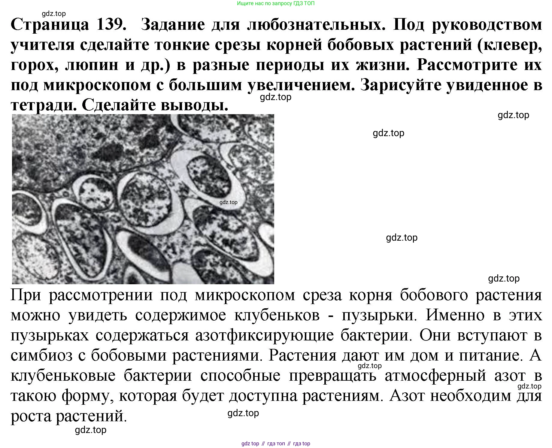 Биология, 7 класс Учебник, авторы: Пасечник Владимир Васильевич, Суматохин Сергей Витальевич, Гапонюк Зоя Георгиевна, Швецов Глеб Геннадьевич, издательство Просвещение, Москва, 2023, бирюзового цвета, страница 138, Решение 2 (продолжение 4)