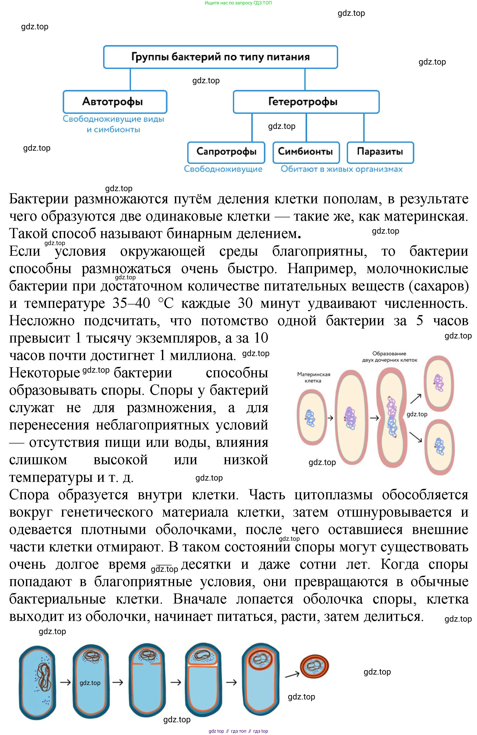 Биология, 7 класс Учебник, авторы: Пасечник Владимир Васильевич, Суматохин Сергей Витальевич, Гапонюк Зоя Георгиевна, Швецов Глеб Геннадьевич, издательство Просвещение, Москва, 2023, бирюзового цвета, страница 140, номер 1, Решение 2 (продолжение 4)