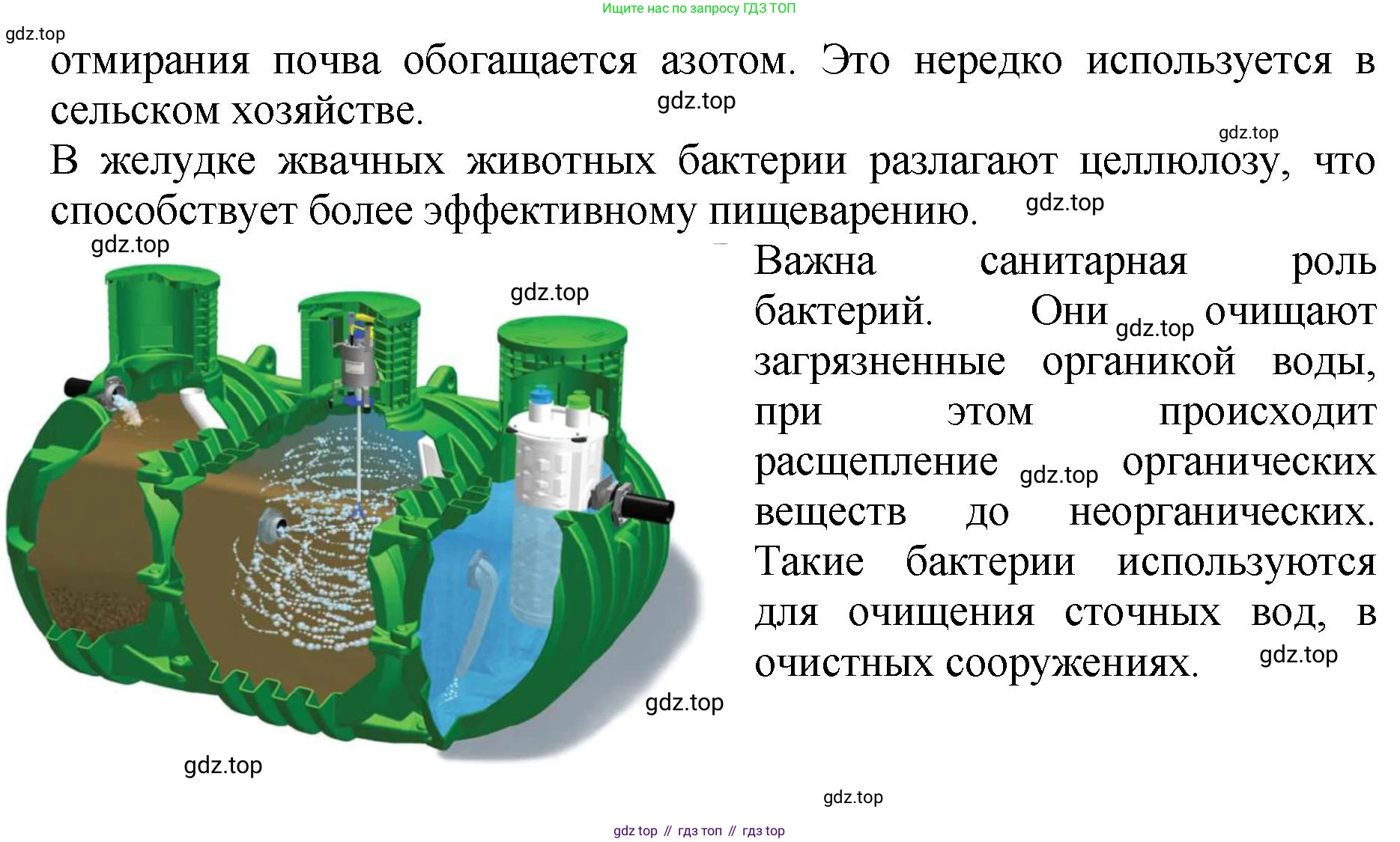 ГДЗ Биология, 7 класс Учебник, авторы: Пасечник Владимир Васильевич, Суматохин Сергей Витальевич, Гапонюк Зоя Георгиевна, Швецов Глеб Геннадьевич, издательство Просвещение, Москва, 2023, бирюзового цвета, страница 140, номер 2, Решение 2 (продолжение 3)