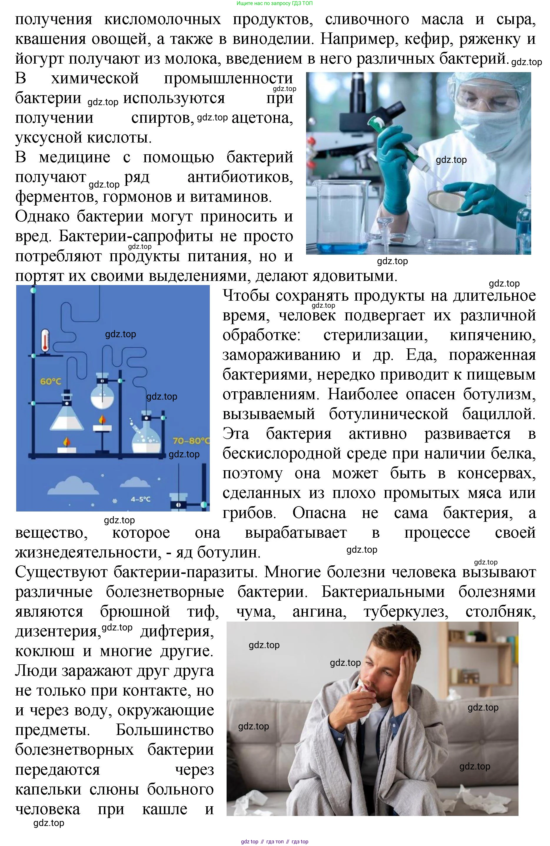 Биология, 7 класс Учебник, авторы: Пасечник Владимир Васильевич, Суматохин Сергей Витальевич, Гапонюк Зоя Георгиевна, Швецов Глеб Геннадьевич, издательство Просвещение, Москва, 2023, бирюзового цвета, страница 140, номер 3, Решение 2 (продолжение 2)