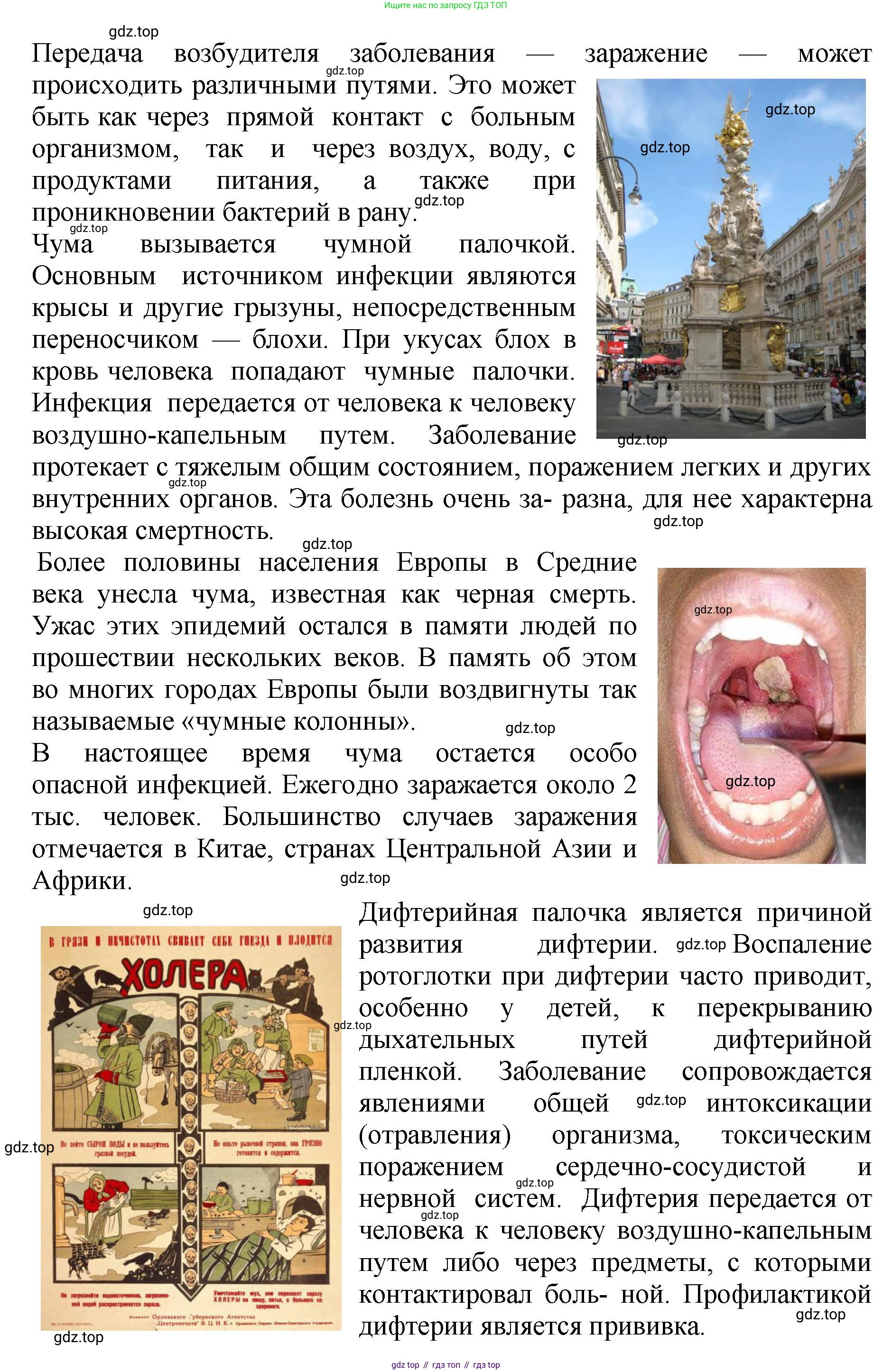 Биология, 7 класс Учебник, авторы: Пасечник Владимир Васильевич, Суматохин Сергей Витальевич, Гапонюк Зоя Георгиевна, Швецов Глеб Геннадьевич, издательство Просвещение, Москва, 2023, бирюзового цвета, страница 140, номер 4, Решение 2 (продолжение 2)