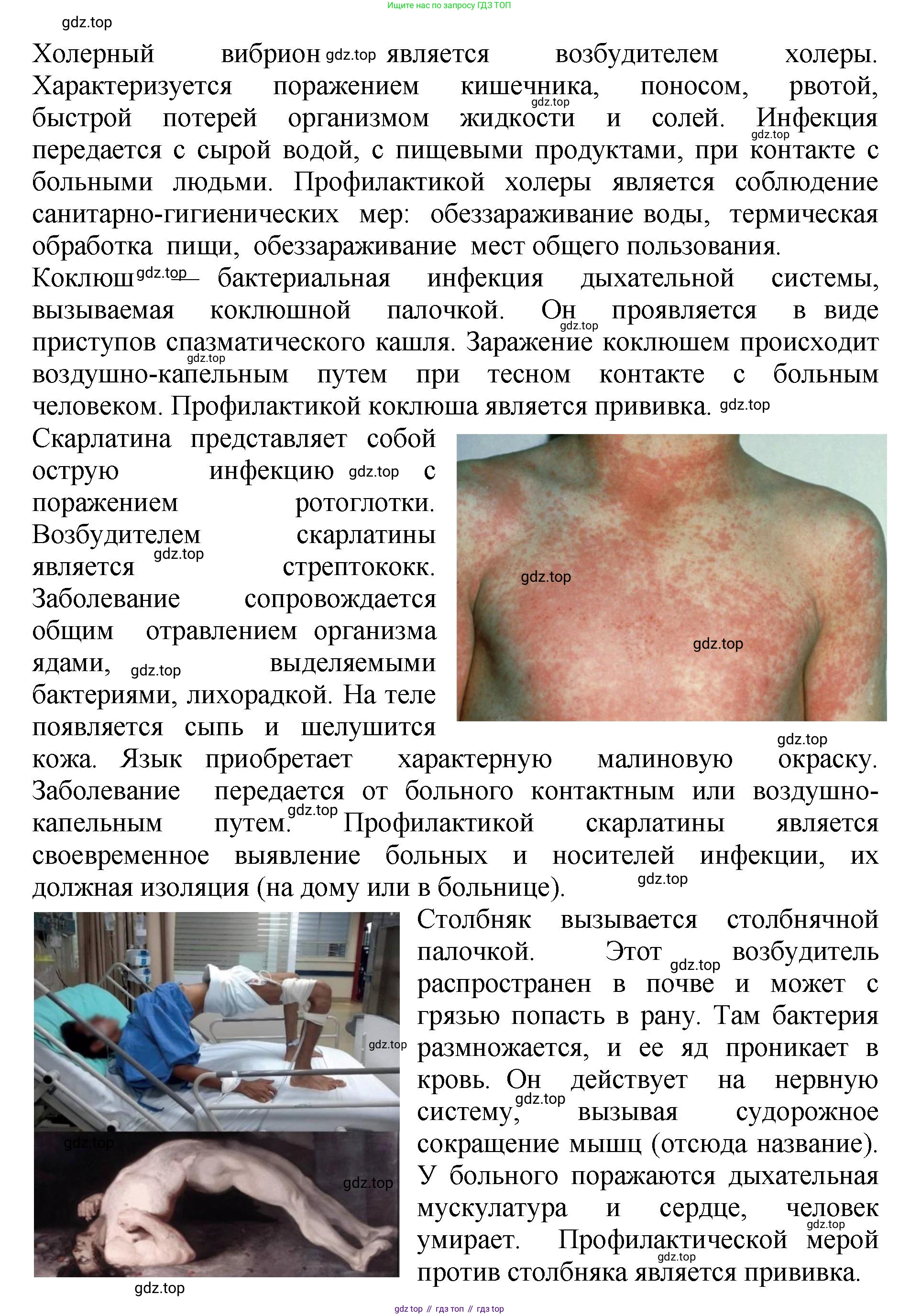 Биология, 7 класс Учебник, авторы: Пасечник Владимир Васильевич, Суматохин Сергей Витальевич, Гапонюк Зоя Георгиевна, Швецов Глеб Геннадьевич, издательство Просвещение, Москва, 2023, бирюзового цвета, страница 140, номер 4, Решение 2 (продолжение 3)