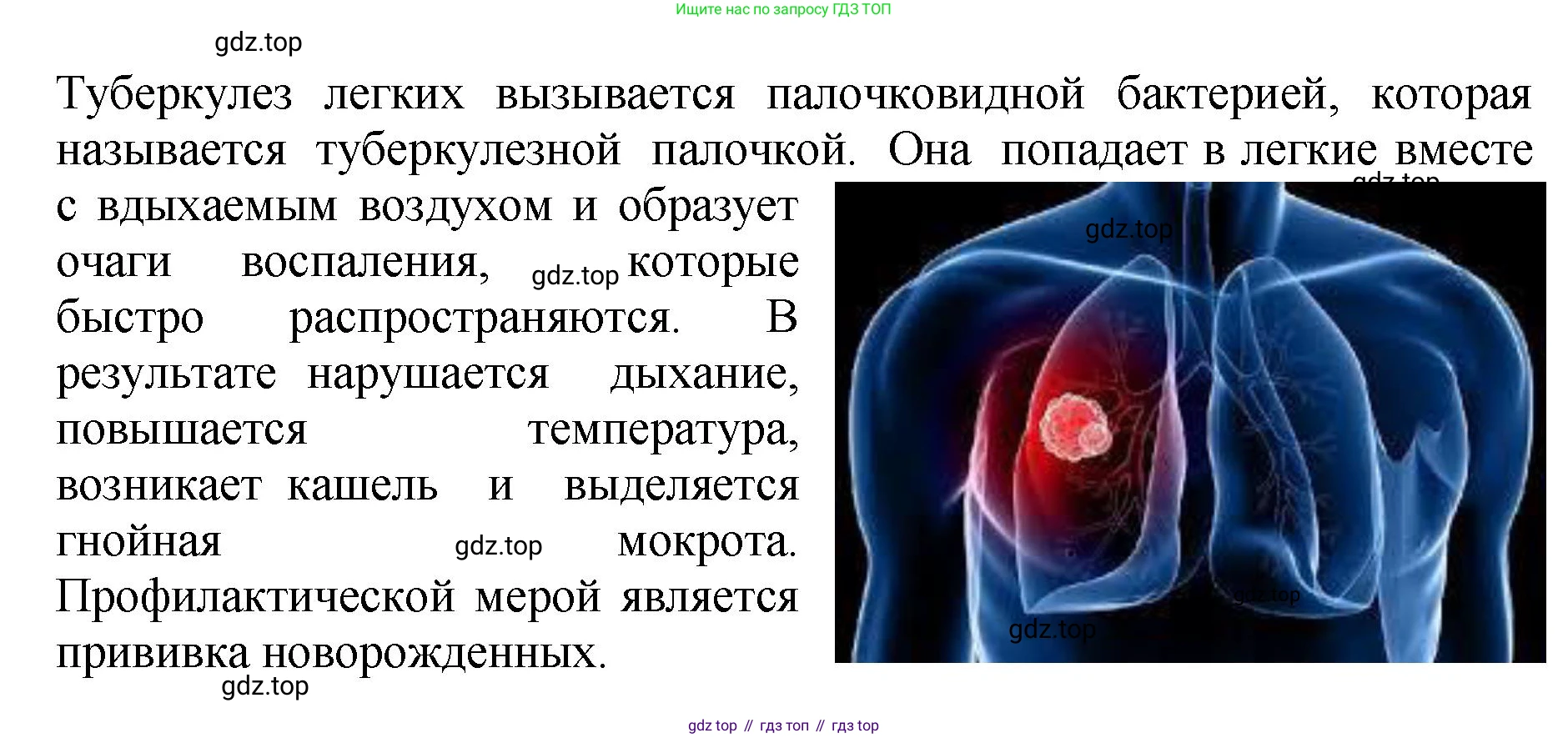 Биология, 7 класс Учебник, авторы: Пасечник Владимир Васильевич, Суматохин Сергей Витальевич, Гапонюк Зоя Георгиевна, Швецов Глеб Геннадьевич, издательство Просвещение, Москва, 2023, бирюзового цвета, страница 140, номер 4, Решение 2 (продолжение 4)