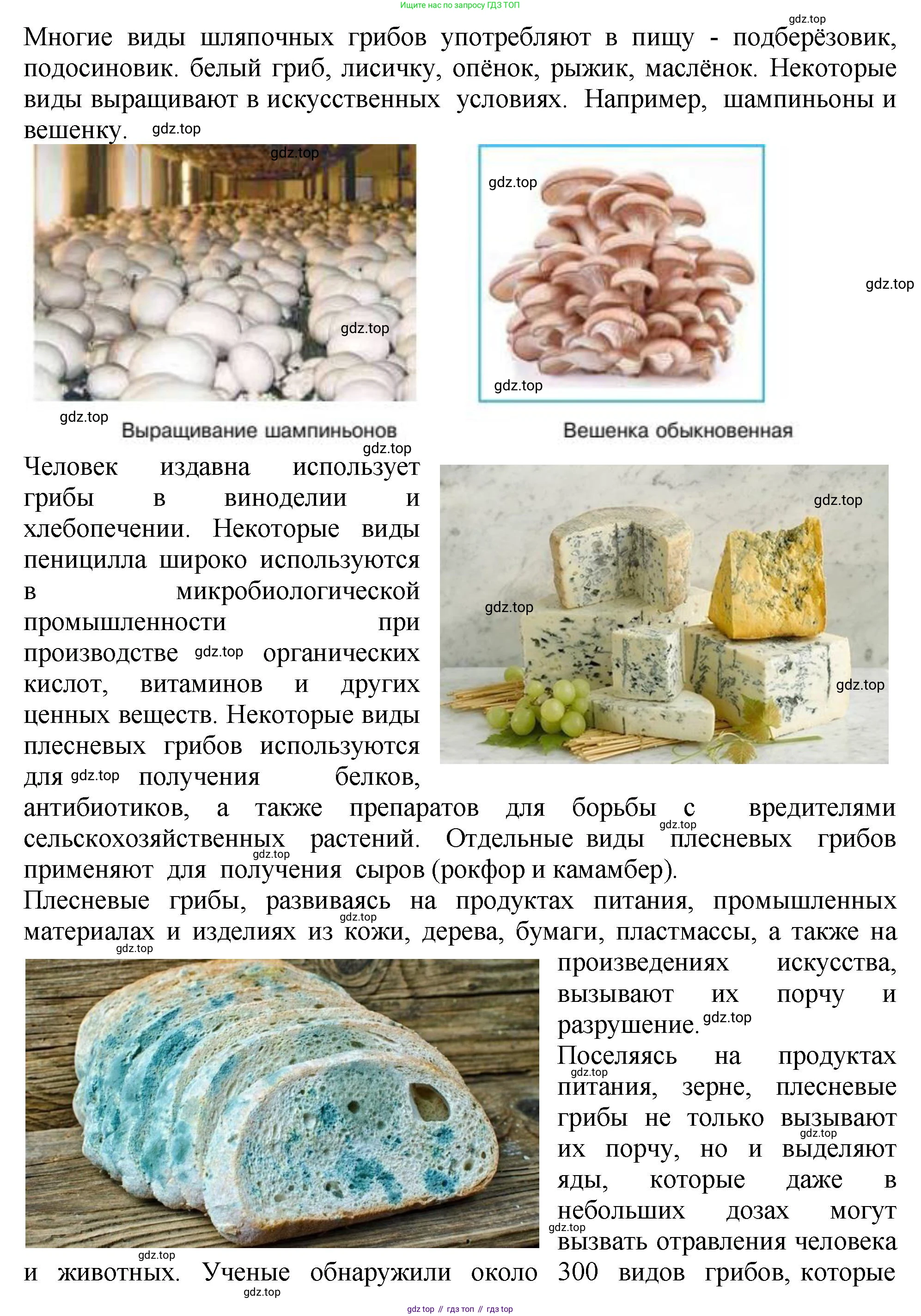Биология, 7 класс Учебник, авторы: Пасечник Владимир Васильевич, Суматохин Сергей Витальевич, Гапонюк Зоя Георгиевна, Швецов Глеб Геннадьевич, издательство Просвещение, Москва, 2023, бирюзового цвета, страница 146, Решение 2 (продолжение 2)