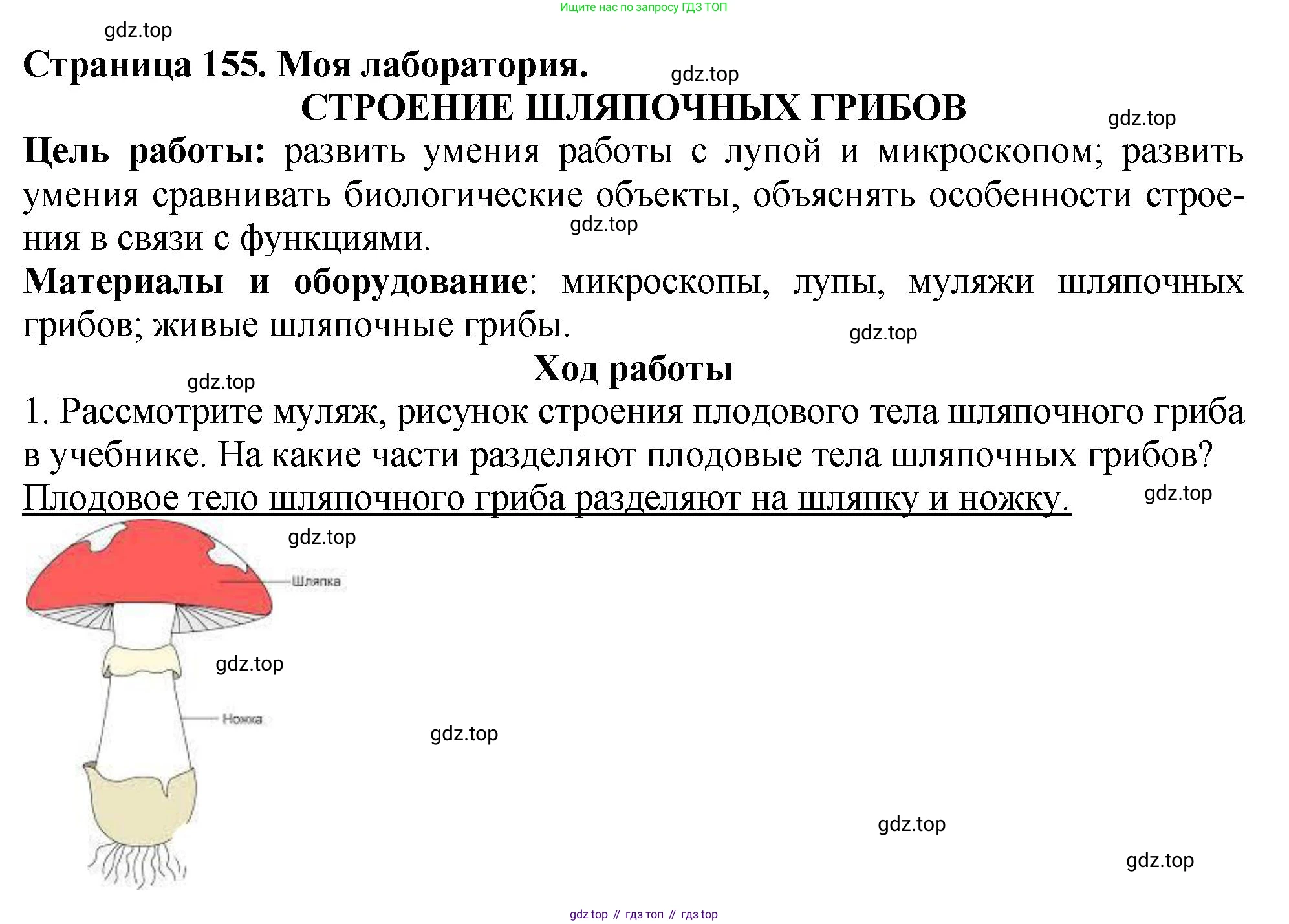 Биология, 7 класс Учебник, авторы: Пасечник Владимир Васильевич, Суматохин Сергей Витальевич, Гапонюк Зоя Георгиевна, Швецов Глеб Геннадьевич, издательство Просвещение, Москва, 2023, бирюзового цвета, страница 155, Решение 2