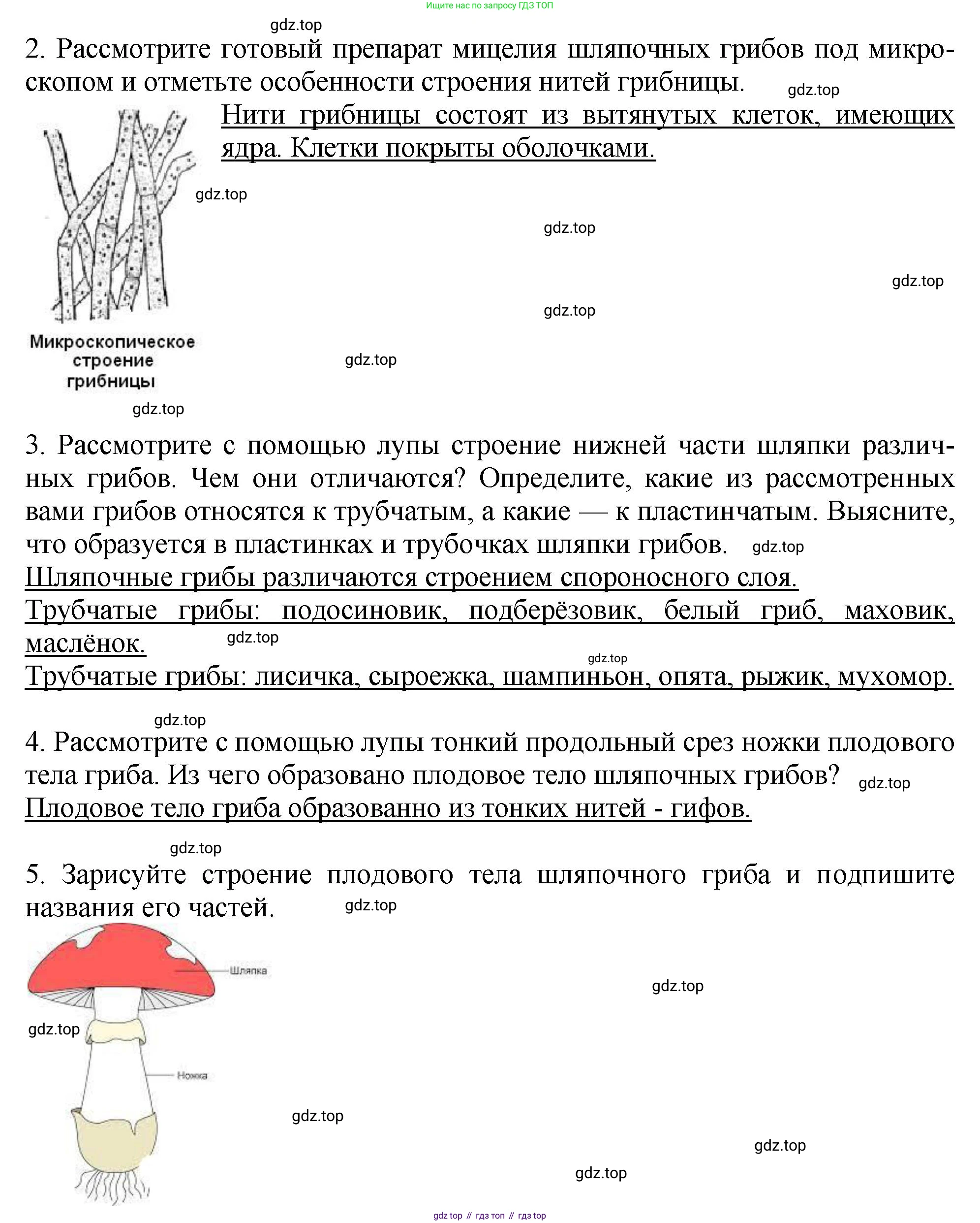 Биология, 7 класс Учебник, авторы: Пасечник Владимир Васильевич, Суматохин Сергей Витальевич, Гапонюк Зоя Георгиевна, Швецов Глеб Геннадьевич, издательство Просвещение, Москва, 2023, бирюзового цвета, страница 155, Решение 2 (продолжение 2)