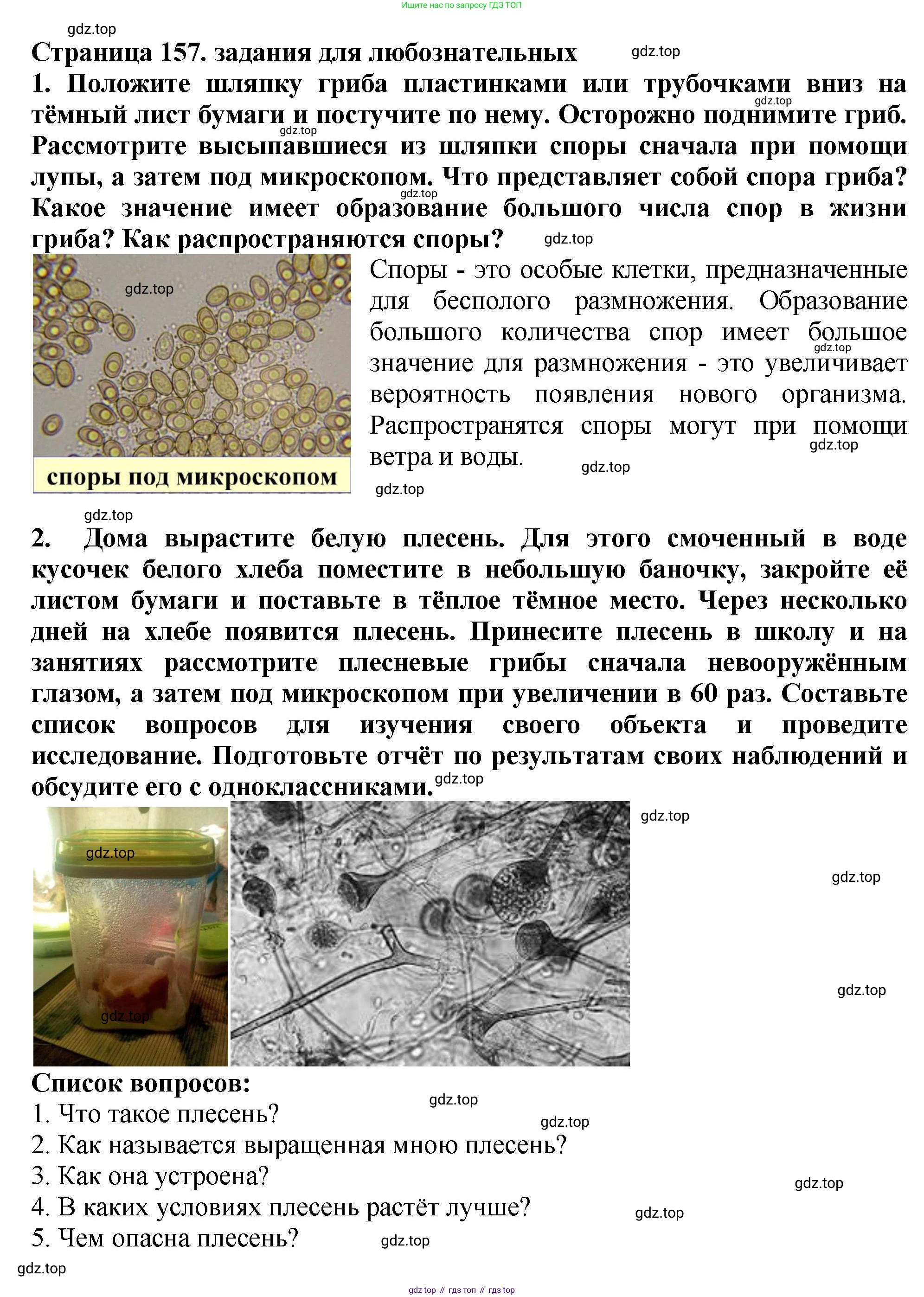 Биология, 7 класс Учебник, авторы: Пасечник Владимир Васильевич, Суматохин Сергей Витальевич, Гапонюк Зоя Георгиевна, Швецов Глеб Геннадьевич, издательство Просвещение, Москва, 2023, бирюзового цвета, страница 155, Решение 2 (продолжение 4)