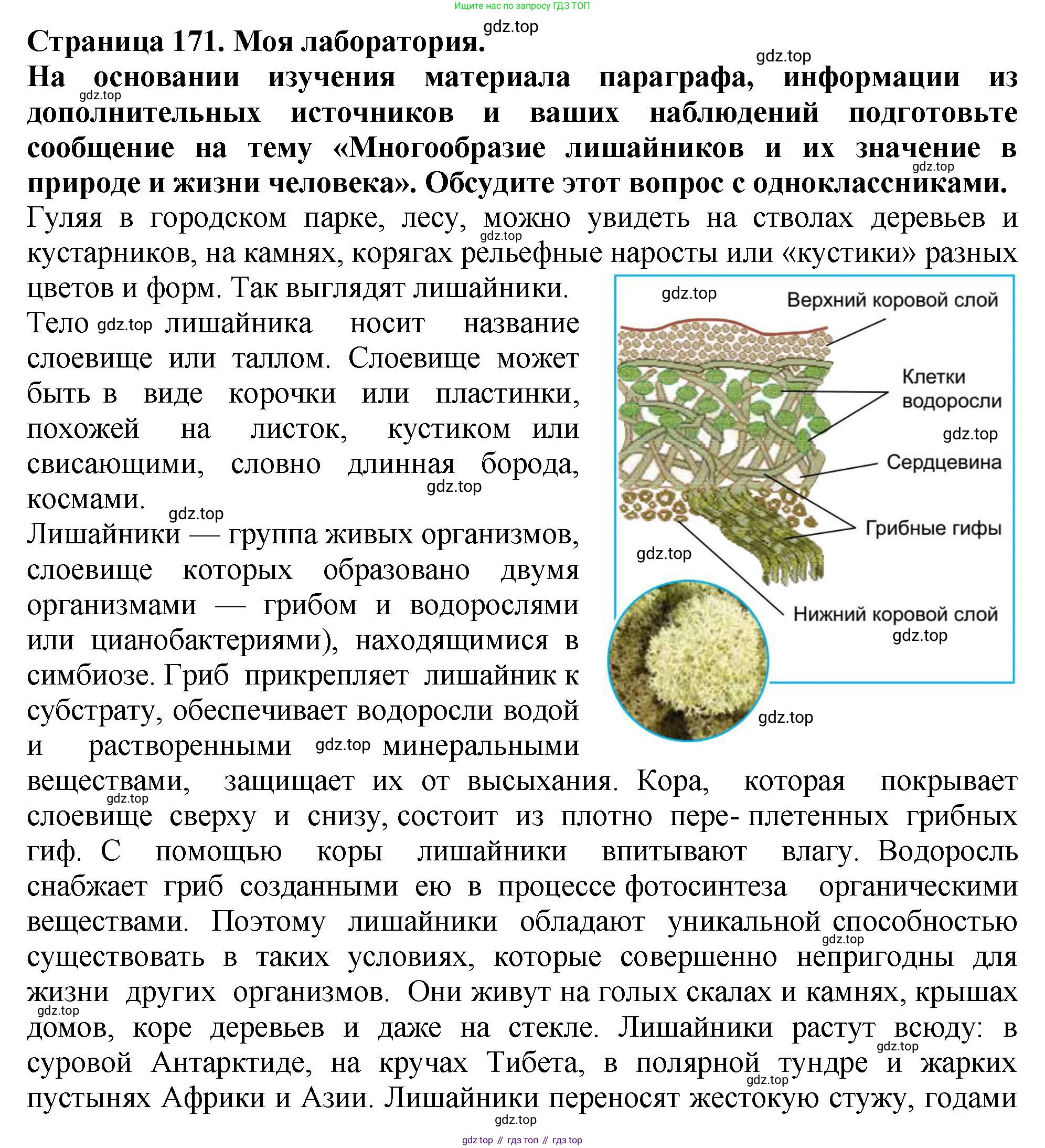Биология, 7 класс Учебник, авторы: Пасечник Владимир Васильевич, Суматохин Сергей Витальевич, Гапонюк Зоя Георгиевна, Швецов Глеб Геннадьевич, издательство Просвещение, Москва, 2023, бирюзового цвета, страница 171, Решение 2
