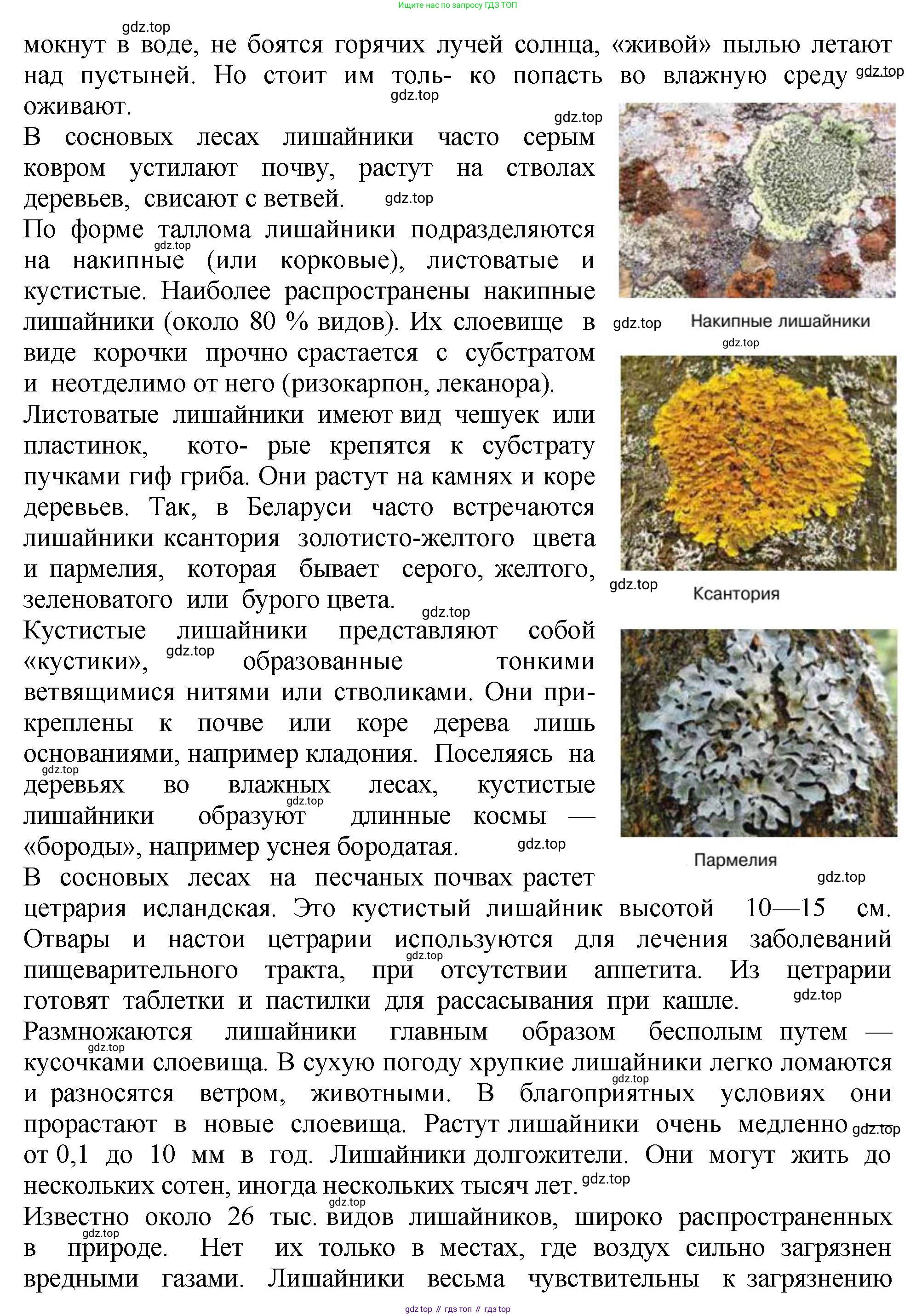 Биология, 7 класс Учебник, авторы: Пасечник Владимир Васильевич, Суматохин Сергей Витальевич, Гапонюк Зоя Георгиевна, Швецов Глеб Геннадьевич, издательство Просвещение, Москва, 2023, бирюзового цвета, страница 171, Решение 2 (продолжение 2)