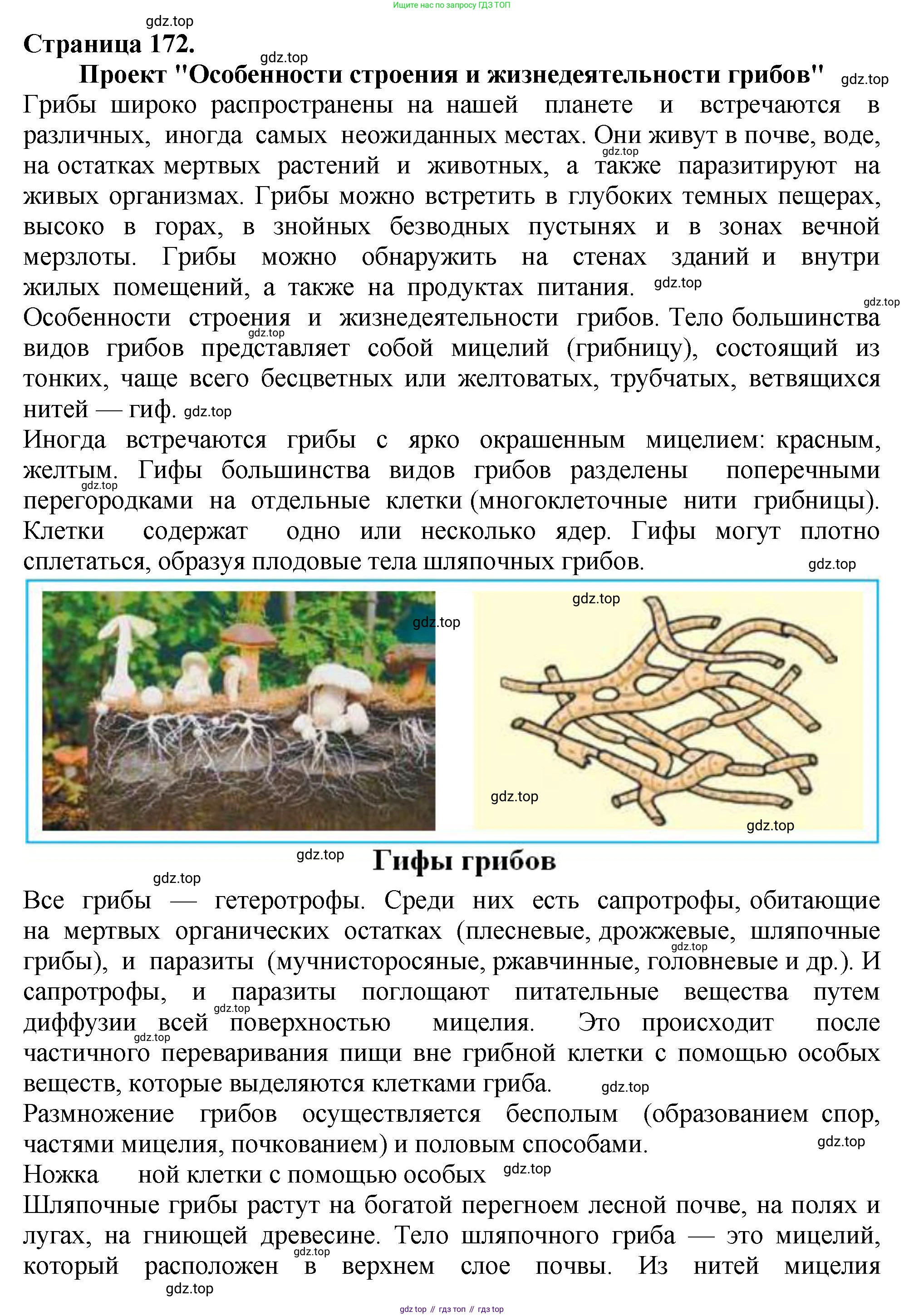 Биология, 7 класс Учебник, авторы: Пасечник Владимир Васильевич, Суматохин Сергей Витальевич, Гапонюк Зоя Георгиевна, Швецов Глеб Геннадьевич, издательство Просвещение, Москва, 2023, бирюзового цвета, страница 172, номер 1, Решение 2