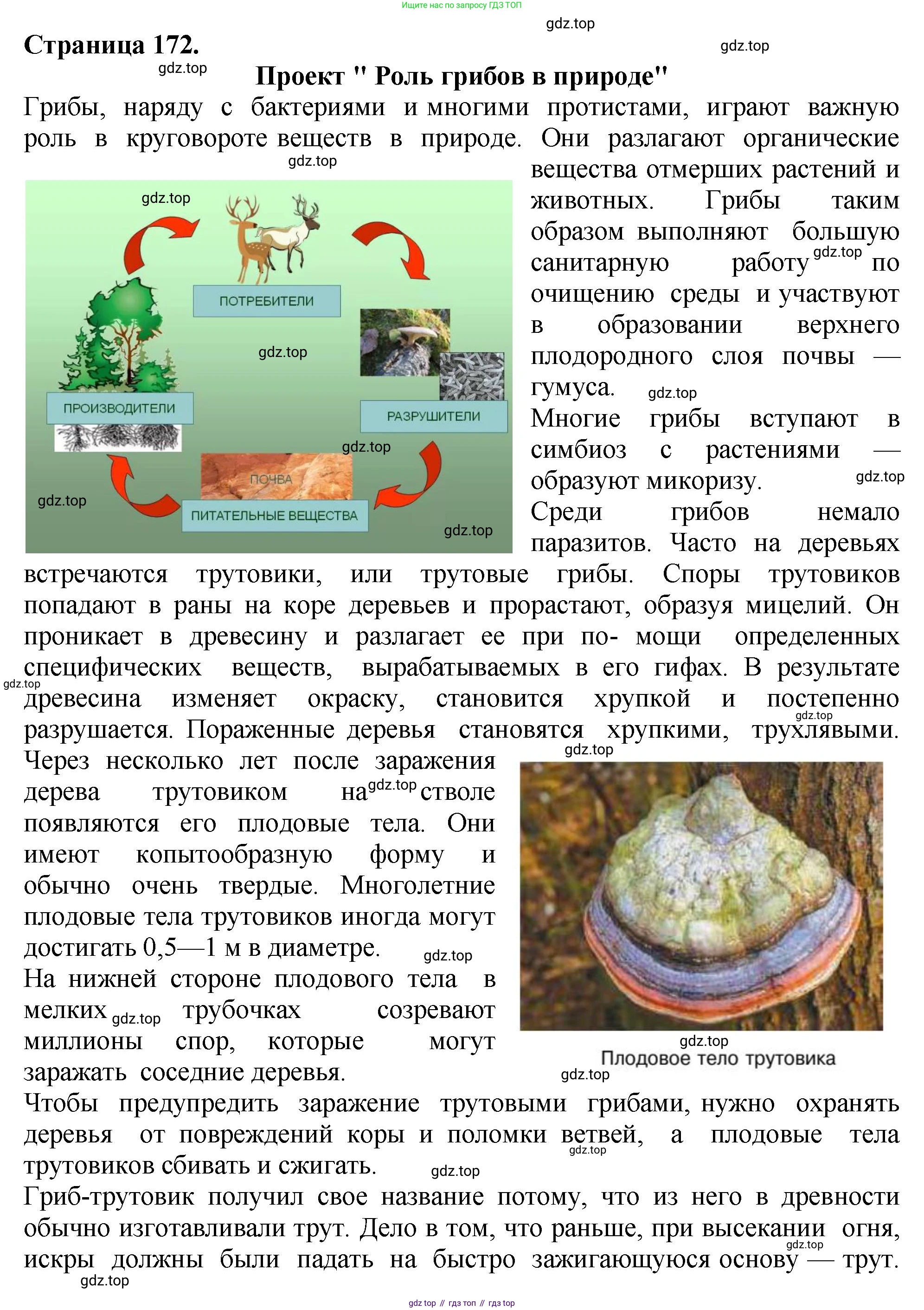 ГДЗ Биология, 7 класс Учебник, авторы: Пасечник Владимир Васильевич, Суматохин Сергей Витальевич, Гапонюк Зоя Георгиевна, Швецов Глеб Геннадьевич, издательство Просвещение, Москва, 2023, бирюзового цвета, страница 172, номер 2, Решение 2
