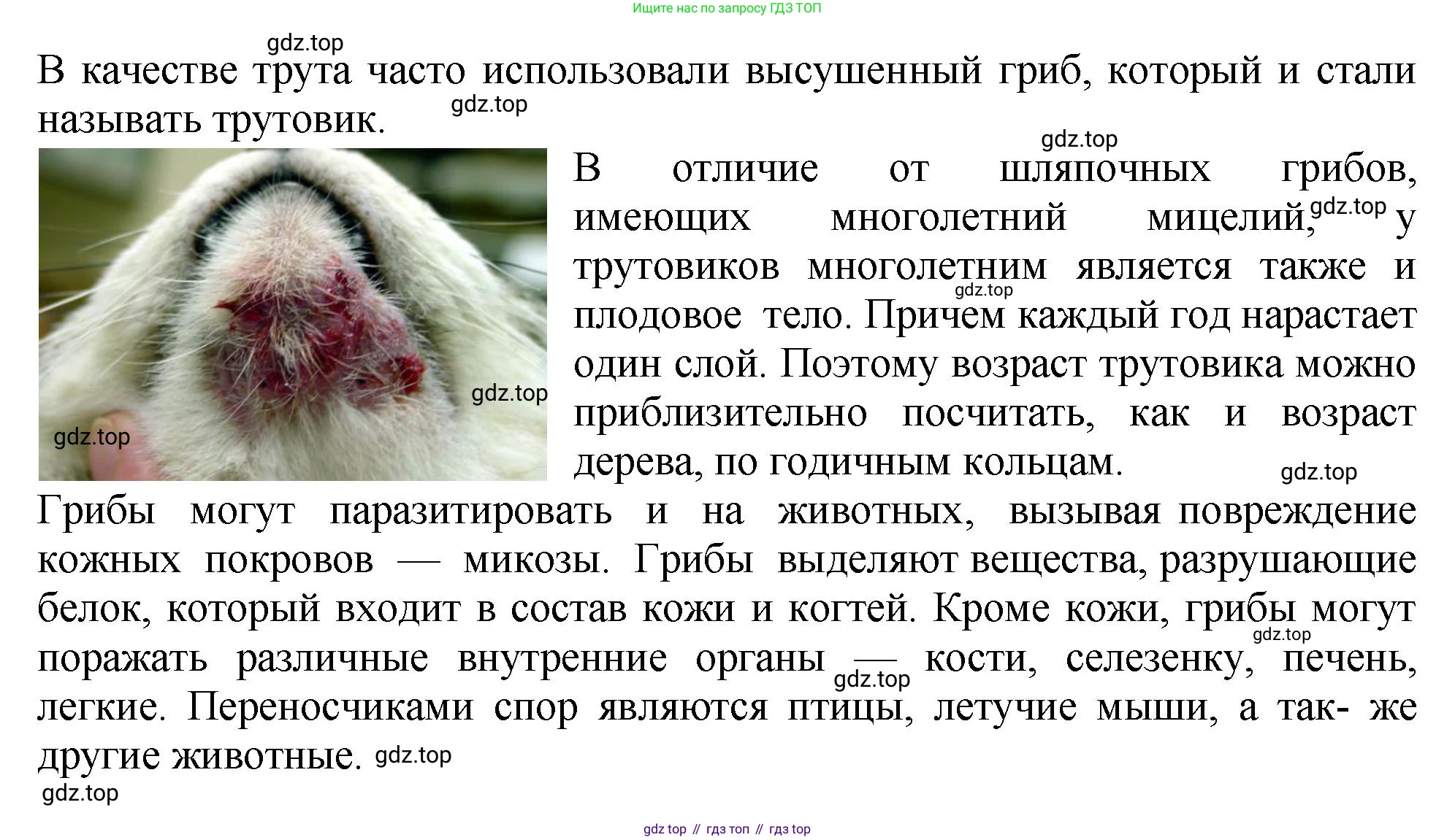 ГДЗ Биология, 7 класс Учебник, авторы: Пасечник Владимир Васильевич, Суматохин Сергей Витальевич, Гапонюк Зоя Георгиевна, Швецов Глеб Геннадьевич, издательство Просвещение, Москва, 2023, бирюзового цвета, страница 172, номер 2, Решение 2 (продолжение 2)