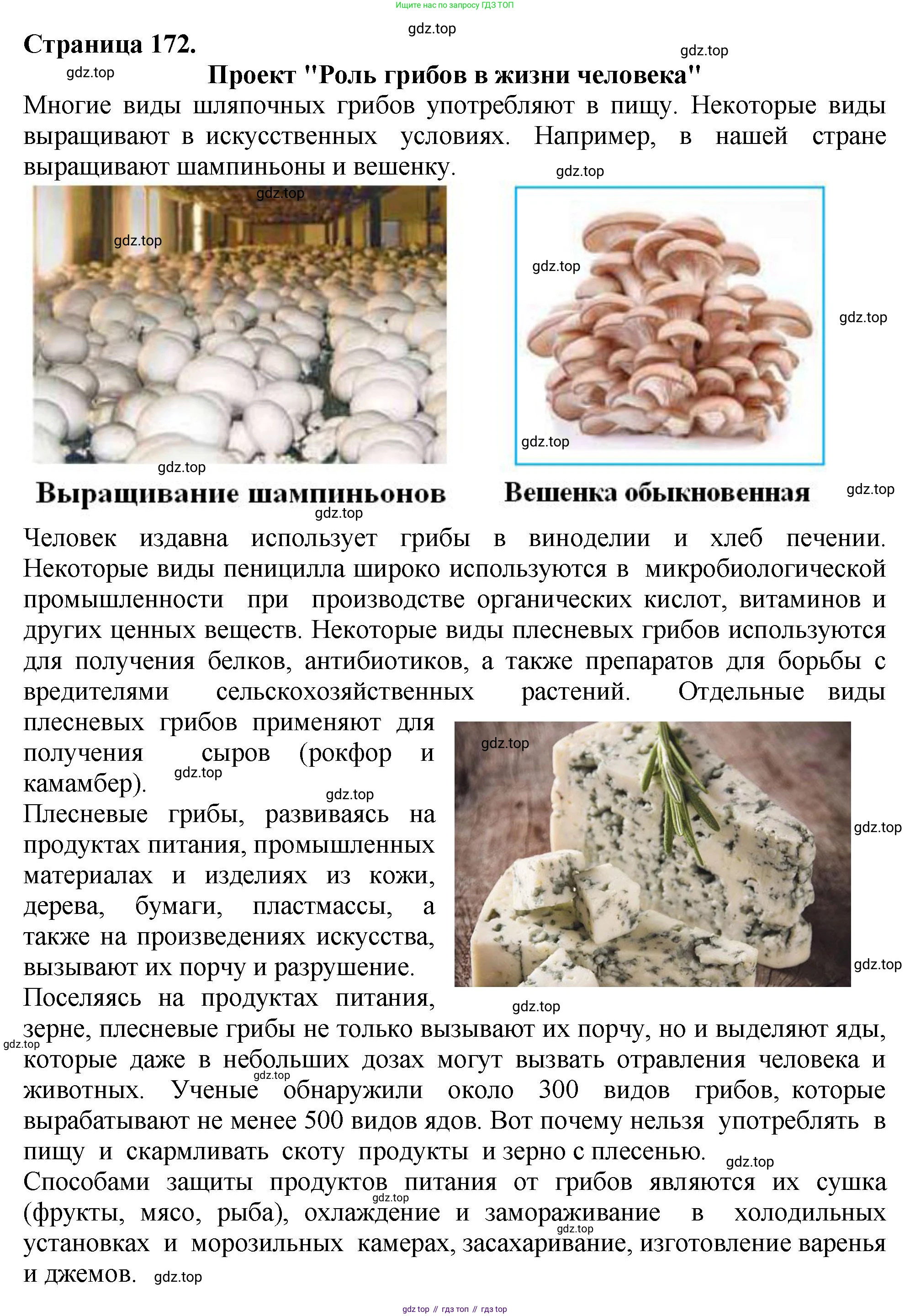 ГДЗ Биология, 7 класс Учебник, авторы: Пасечник Владимир Васильевич, Суматохин Сергей Витальевич, Гапонюк Зоя Георгиевна, Швецов Глеб Геннадьевич, издательство Просвещение, Москва, 2023, бирюзового цвета, страница 172, номер 3, Решение 2