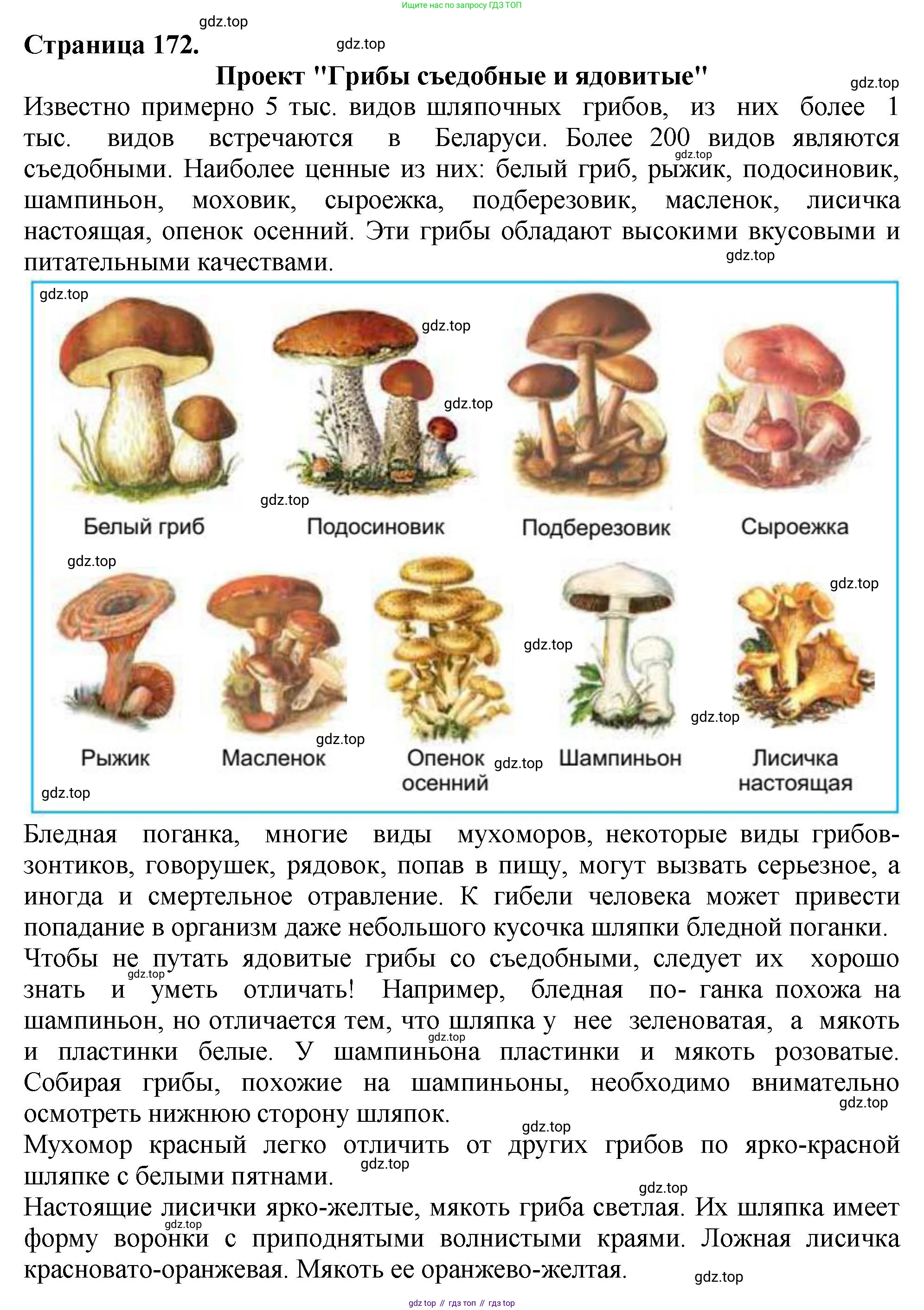 Биология, 7 класс Учебник, авторы: Пасечник Владимир Васильевич, Суматохин Сергей Витальевич, Гапонюк Зоя Георгиевна, Швецов Глеб Геннадьевич, издательство Просвещение, Москва, 2023, бирюзового цвета, страница 172, номер 4, Решение 2