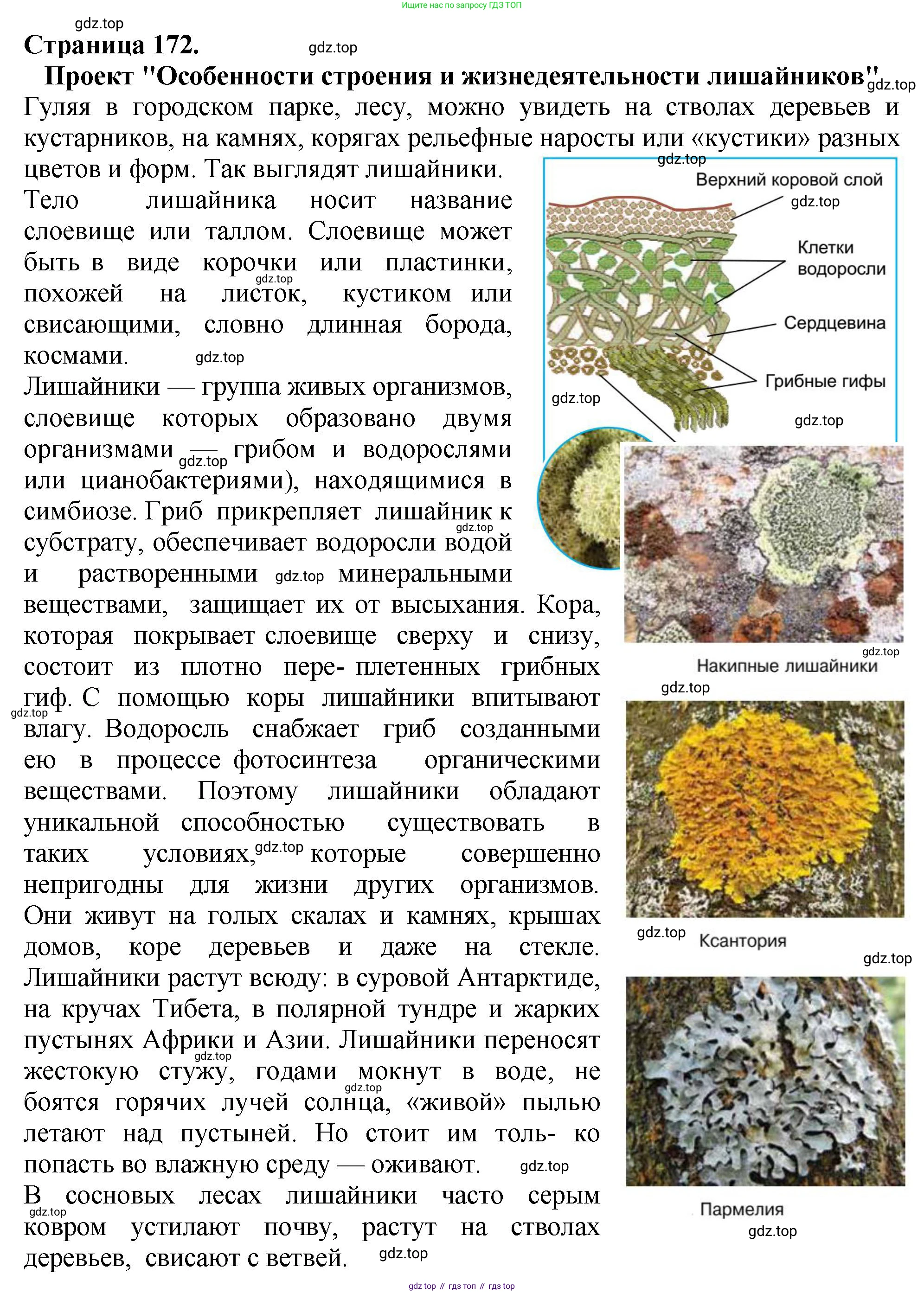 Биология, 7 класс Учебник, авторы: Пасечник Владимир Васильевич, Суматохин Сергей Витальевич, Гапонюк Зоя Георгиевна, Швецов Глеб Геннадьевич, издательство Просвещение, Москва, 2023, бирюзового цвета, страница 172, номер 6, Решение 2