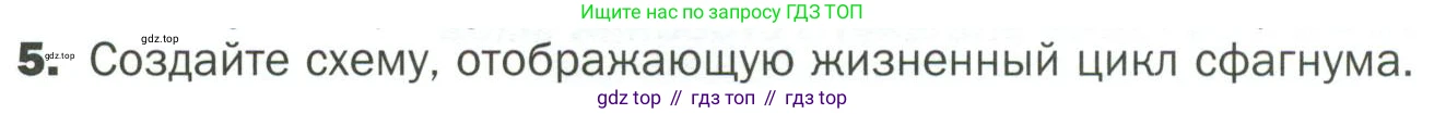 ГДЗ Биология, 7 класс Учебник, авторы: Пономарева Ирма Николаевна, Корнилова Ольга Анатольевна, издательство Просвещение, Москва, 2023, зелёного цвета, страница 28, номер 5, Условие