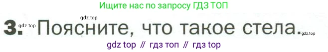 ГДЗ Биология, 7 класс Учебник, авторы: Пономарева Ирма Николаевна, Корнилова Ольга Анатольевна, издательство Просвещение, Москва, 2023, зелёного цвета, страница 32, номер 3, Условие