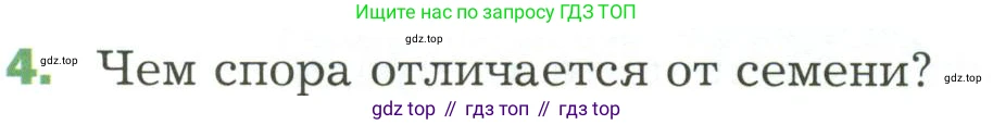 ГДЗ Биология, 7 класс Учебник, авторы: Пономарева Ирма Николаевна, Корнилова Ольга Анатольевна, издательство Просвещение, Москва, 2023, зелёного цвета, страница 38, номер 4, Условие