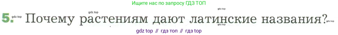 ГДЗ Биология, 7 класс Учебник, авторы: Пономарева Ирма Николаевна, Корнилова Ольга Анатольевна, издательство Просвещение, Москва, 2023, зелёного цвета, страница 38, номер 5, Условие