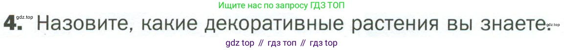 ГДЗ Биология, 7 класс Учебник, авторы: Пономарева Ирма Николаевна, Корнилова Ольга Анатольевна, издательство Просвещение, Москва, 2023, зелёного цвета, страница 122, номер 4, Условие