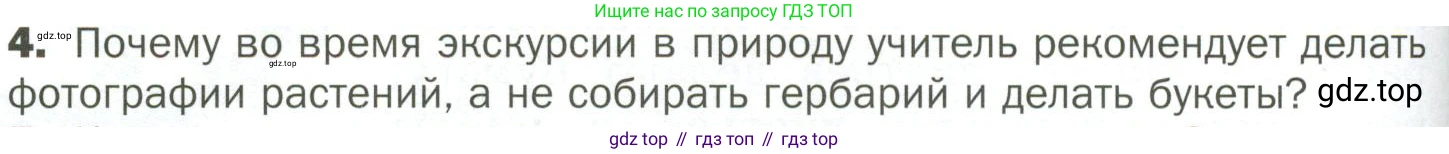 ГДЗ Биология, 7 класс Учебник, авторы: Пономарева Ирма Николаевна, Корнилова Ольга Анатольевна, издательство Просвещение, Москва, 2023, зелёного цвета, страница 138, номер 4, Условие