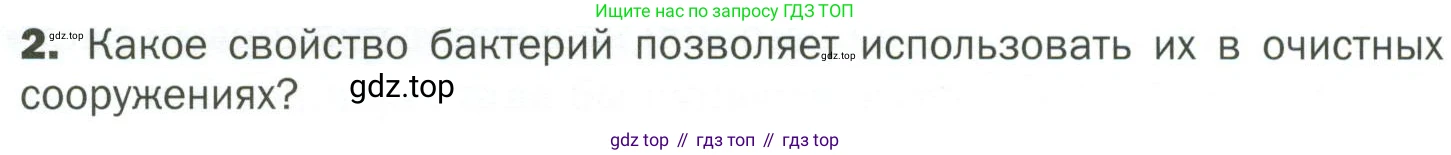 ГДЗ Биология, 7 класс Учебник, авторы: Пономарева Ирма Николаевна, Корнилова Ольга Анатольевна, издательство Просвещение, Москва, 2023, зелёного цвета, страница 167, номер 2, Условие