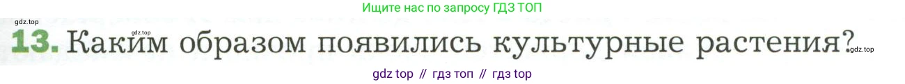 ГДЗ Биология, 7 класс Учебник, авторы: Пономарева Ирма Николаевна, Корнилова Ольга Анатольевна, издательство Просвещение, Москва, 2023, зелёного цвета, страница 95, номер 13, Условие