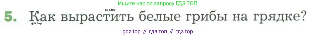 ГДЗ Биология, 7 класс Учебник, авторы: Пономарева Ирма Николаевна, Корнилова Ольга Анатольевна, издательство Просвещение, Москва, 2023, зелёного цвета, страница 171, номер 5, Условие